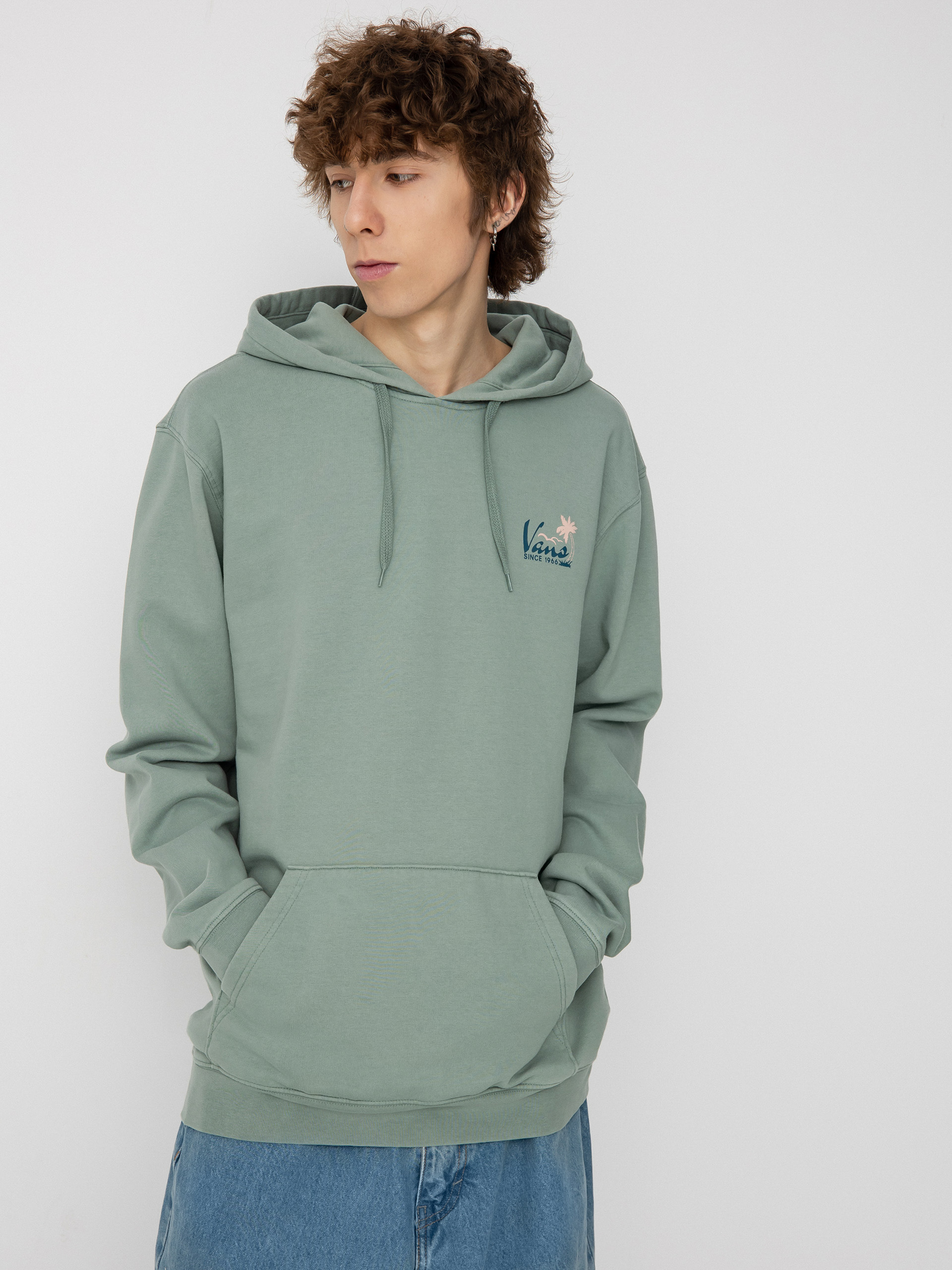 Vans Lodge HD Hoodie (chinois green)