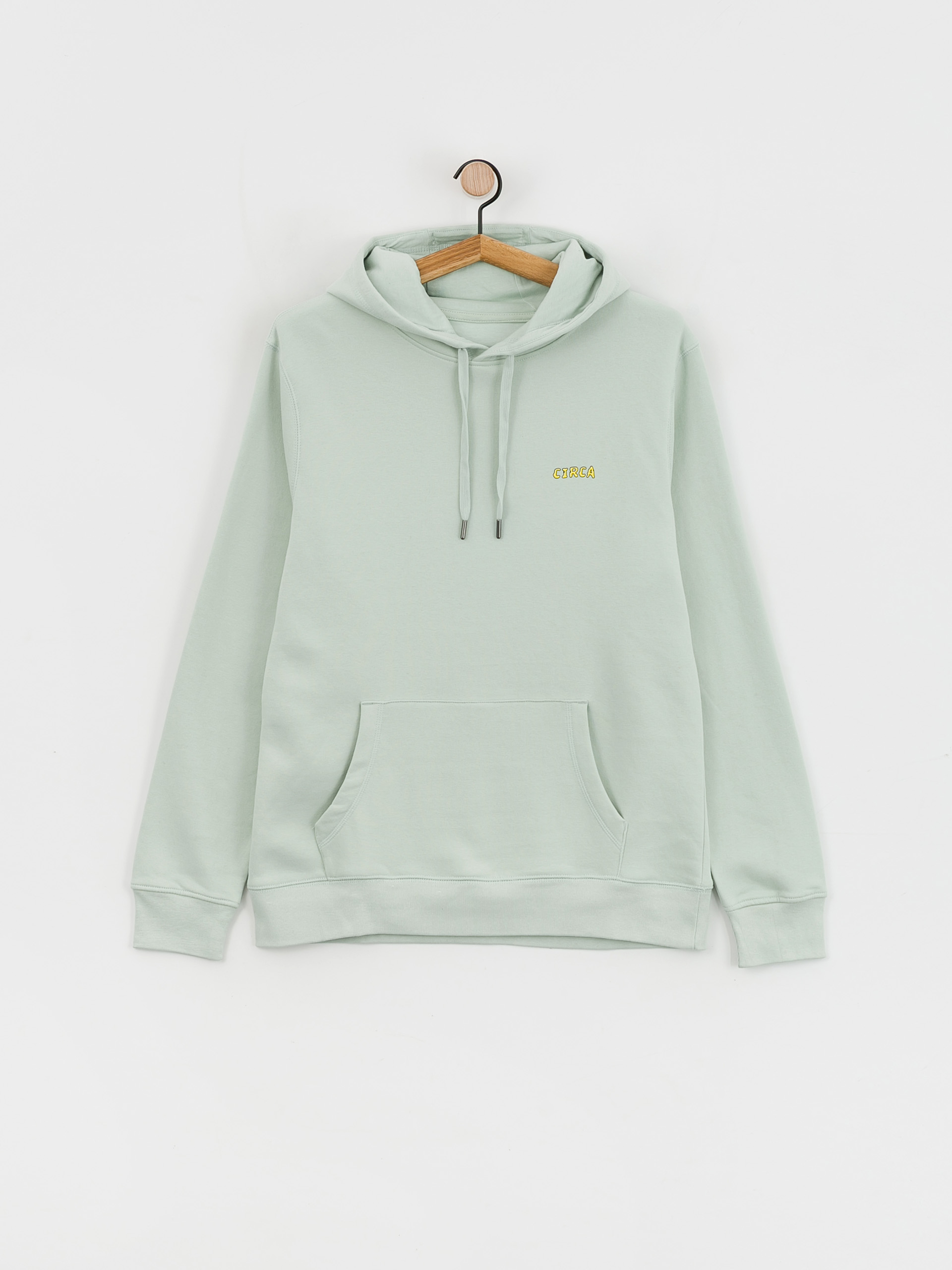 Champion best sale aqua hoodie