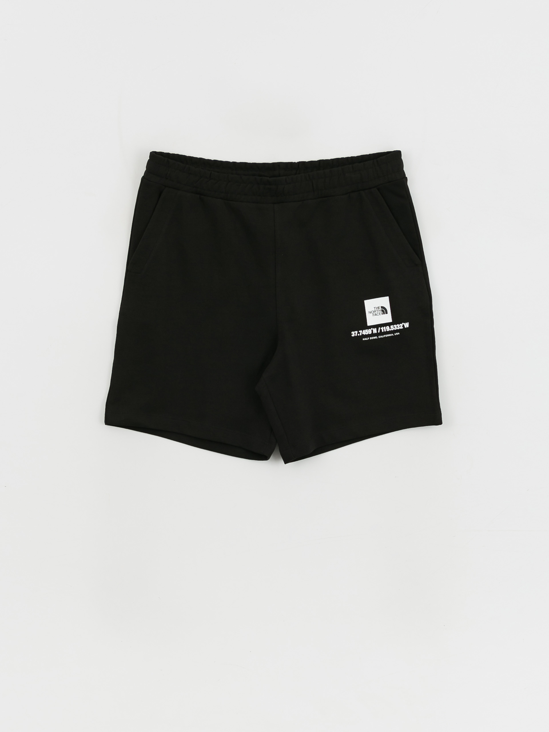 The North Face Coordinates Shorts (tnf black)