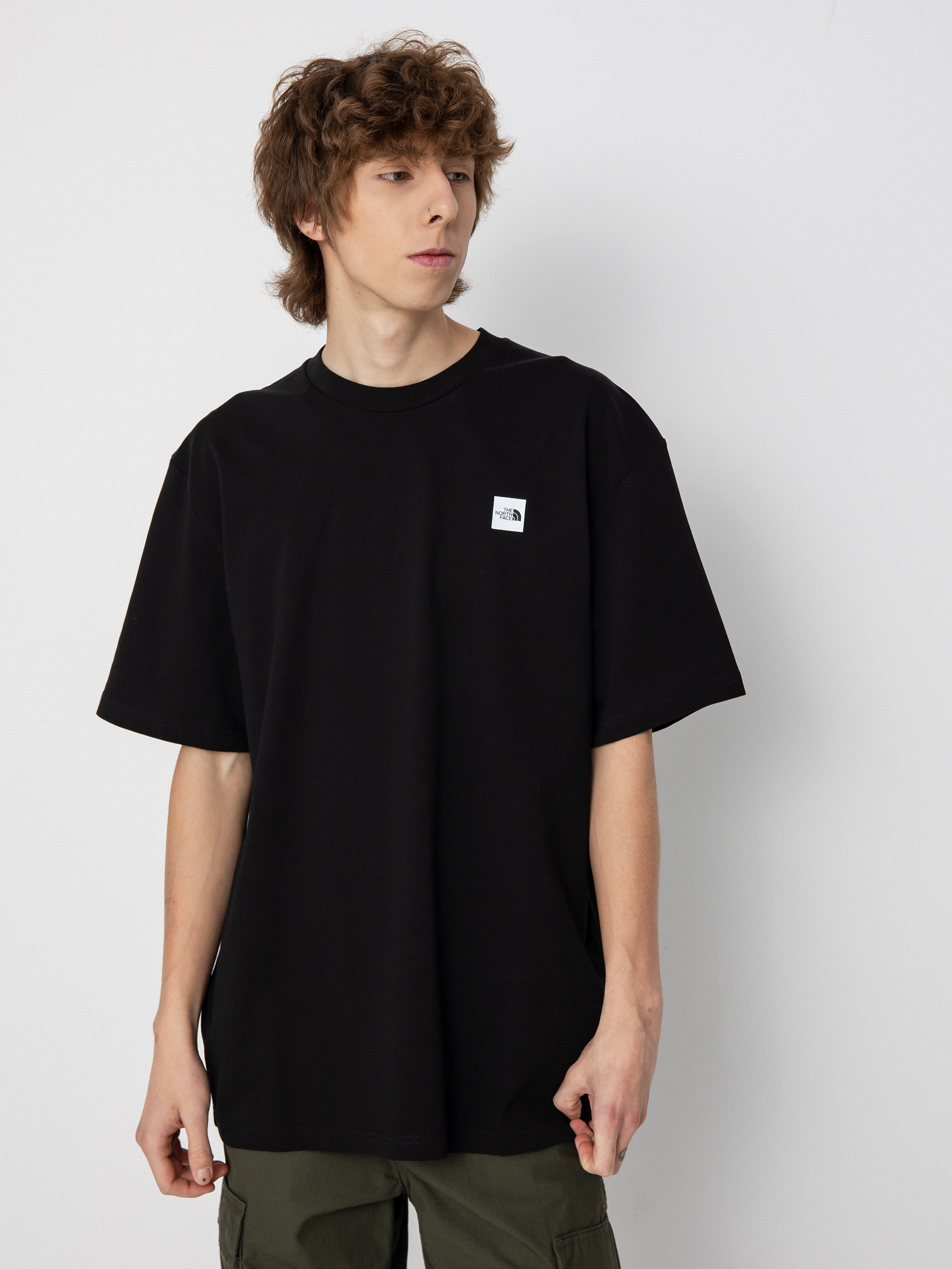 The North Face Summer Logo T-shirt (tnf black)