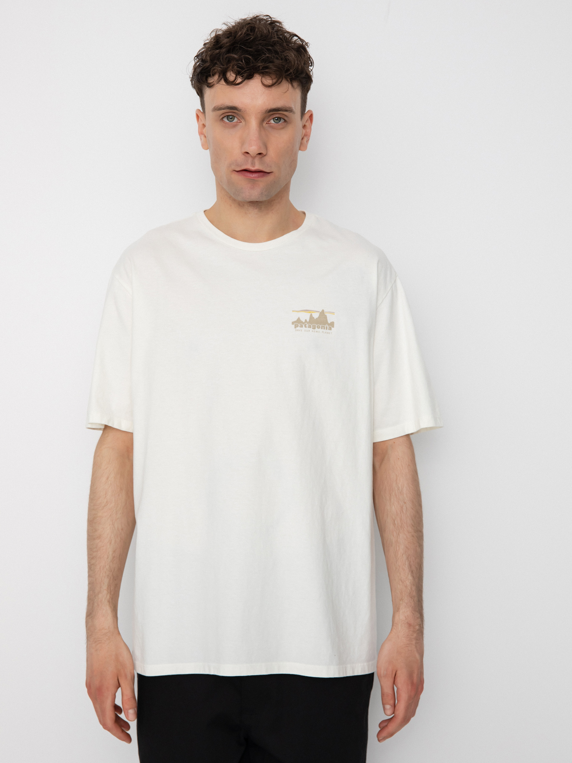 Patagonia 73 Skyline Organic T-shirt (birch white)