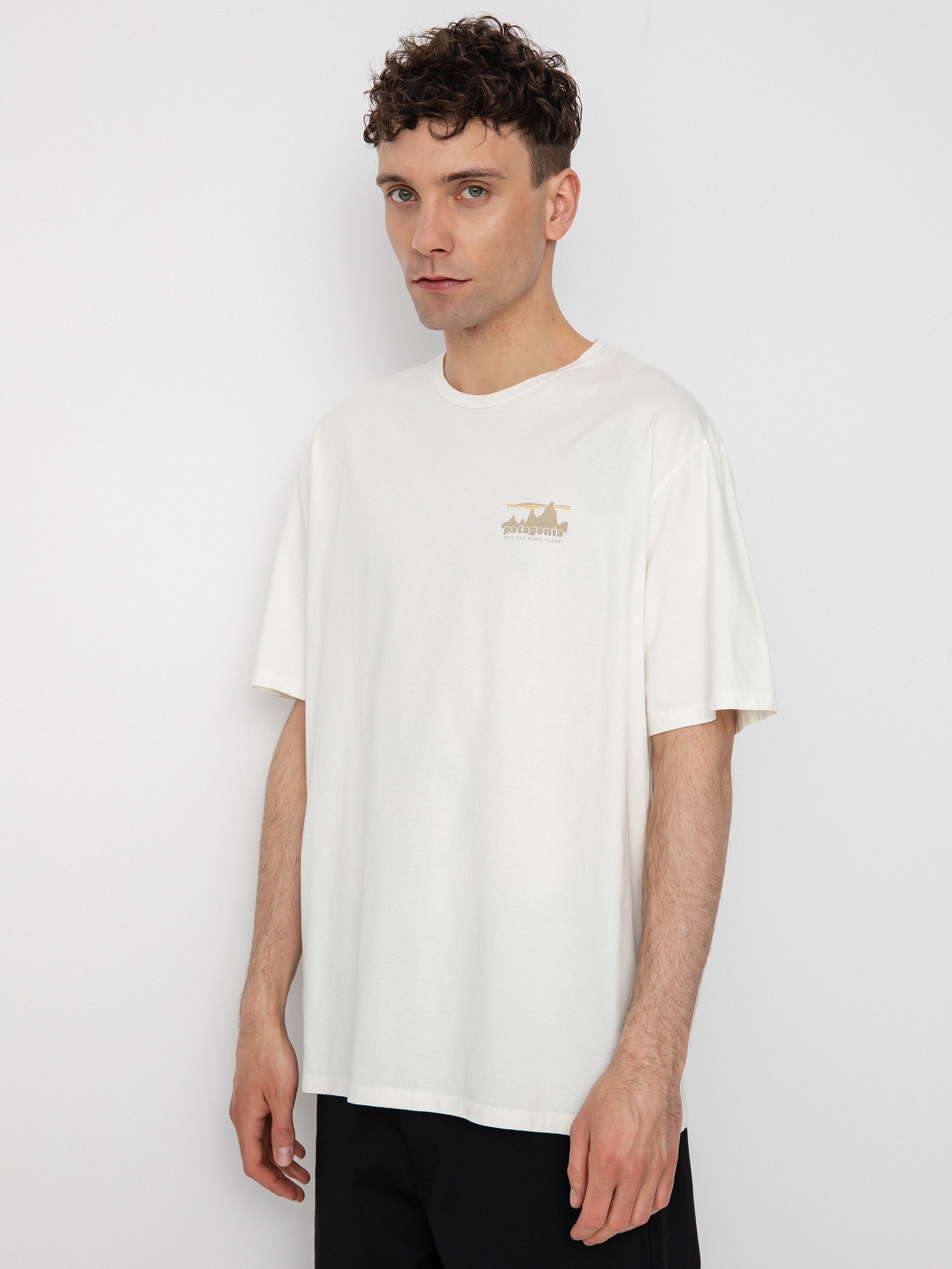 Patagonia 73 Skyline Organic T-shirt (birch white)