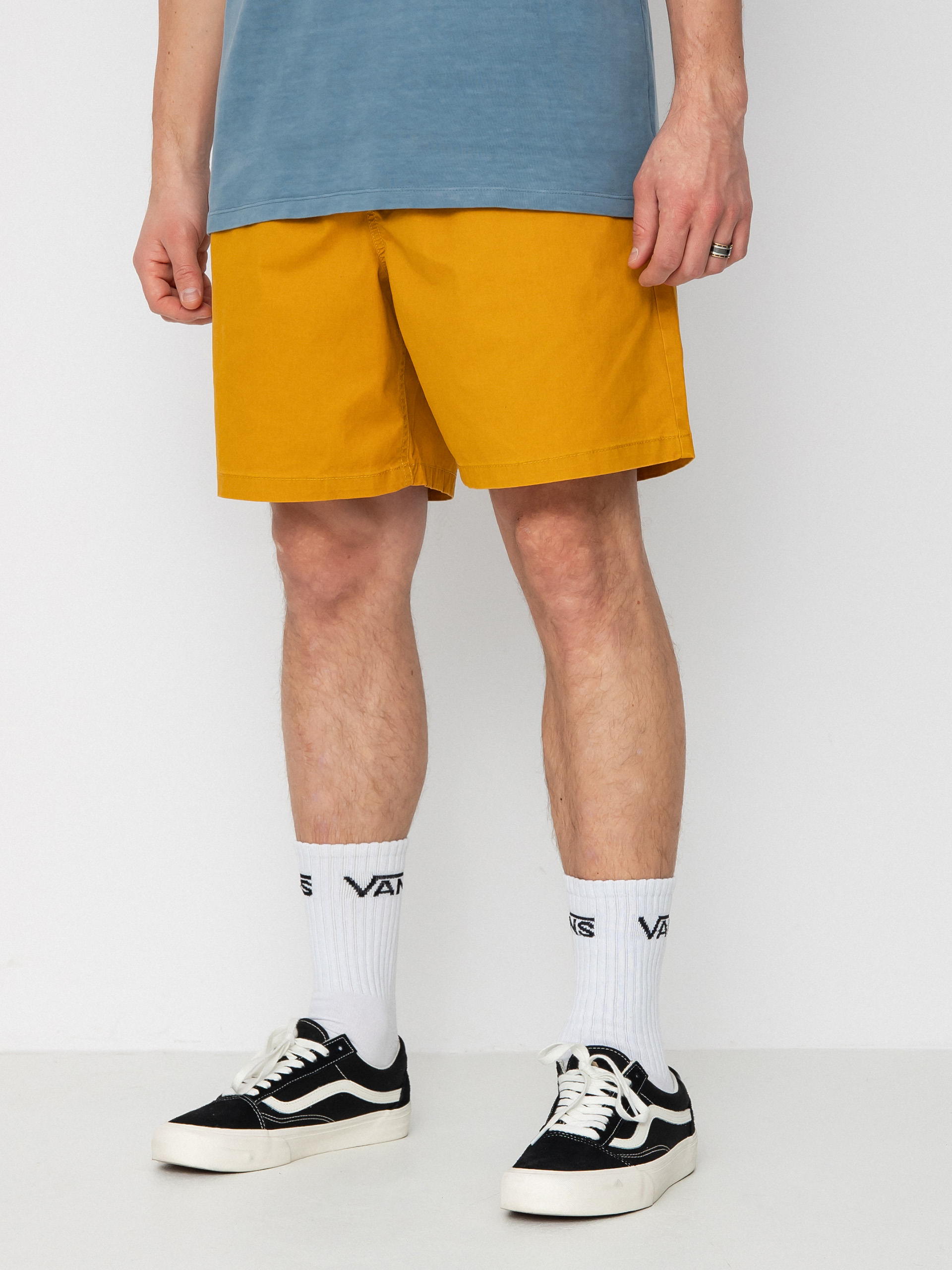 Vans Range Salt Wash Relaxed Elastic Shorts (narcissus)