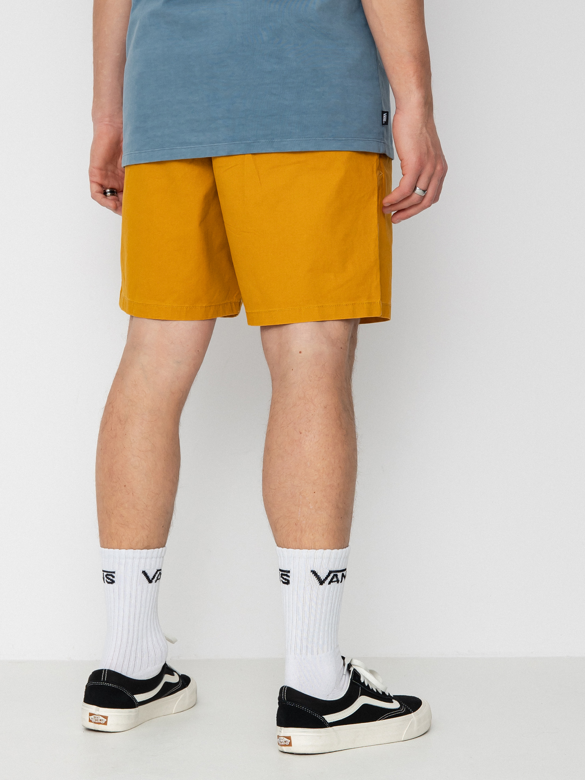 Vans Range Salt Wash Relaxed Elastic Shorts (narcissus)