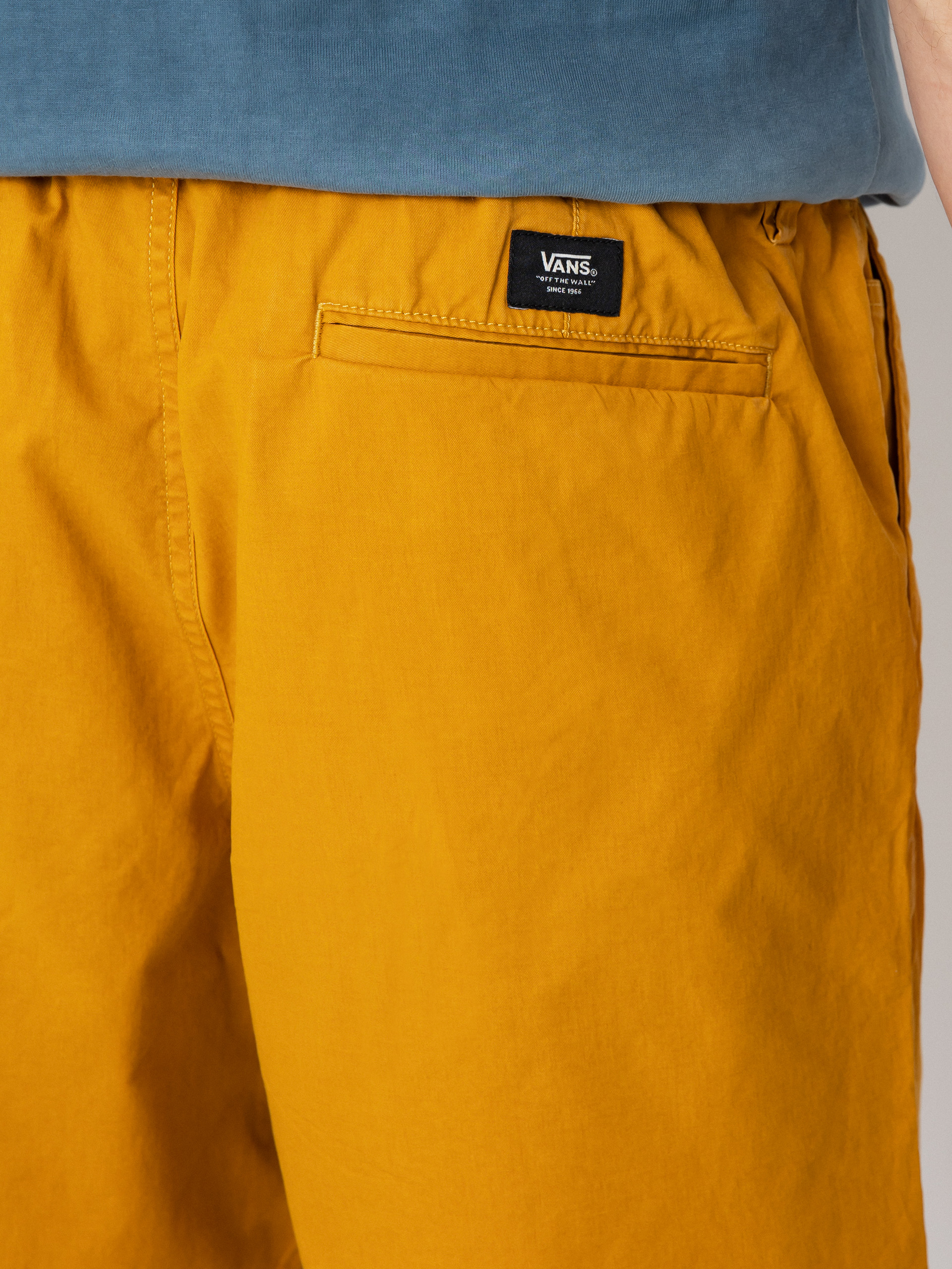 Vans Range Salt Wash Relaxed Elastic Shorts (narcissus)