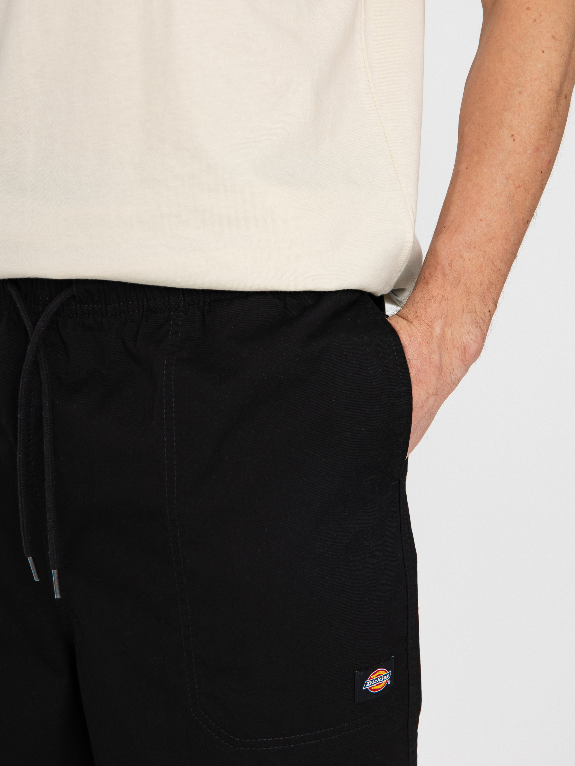 Dickies Pelican Rapids Shorts (black)