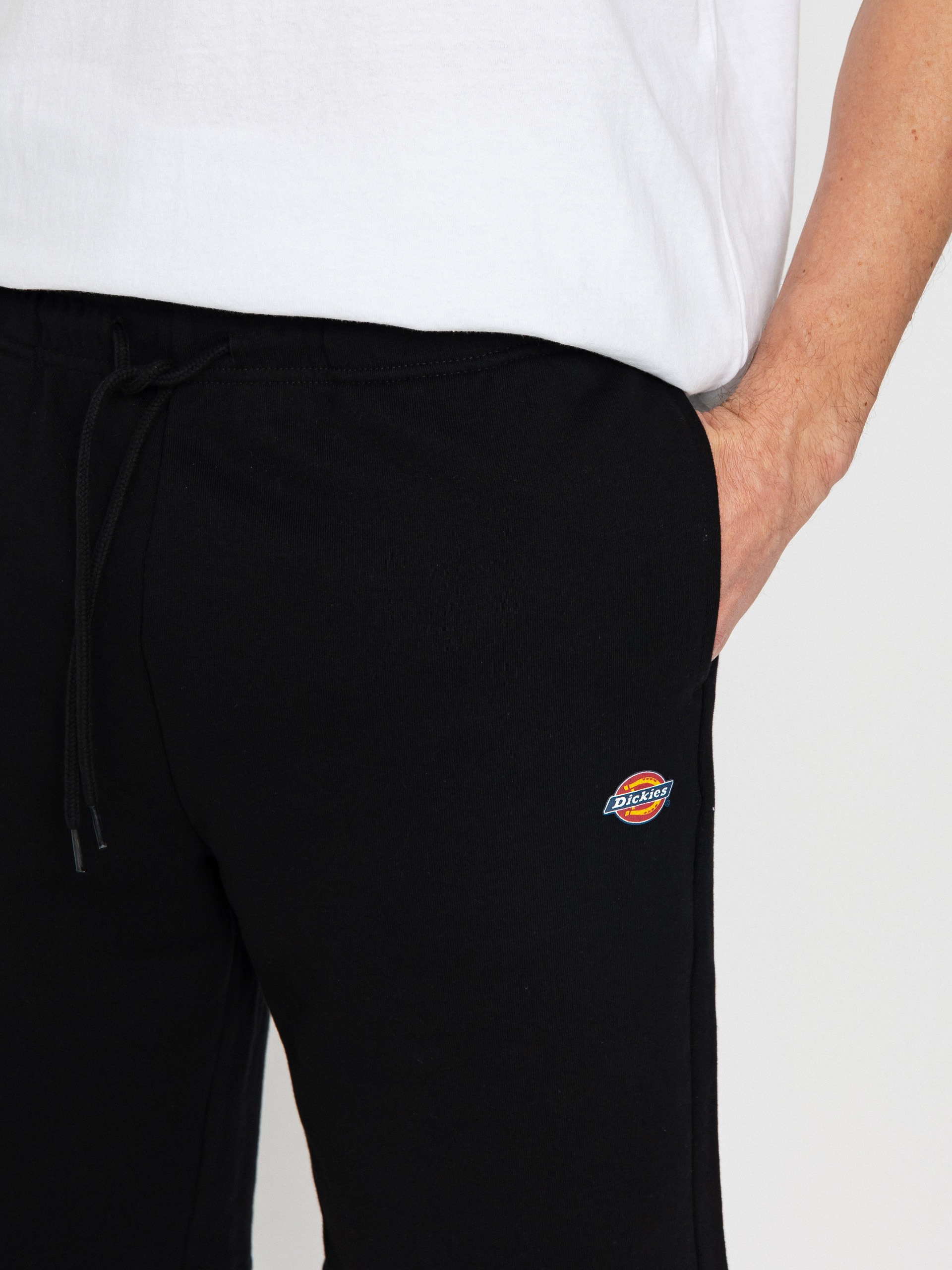 Dickies Mapleton Shorts (black)