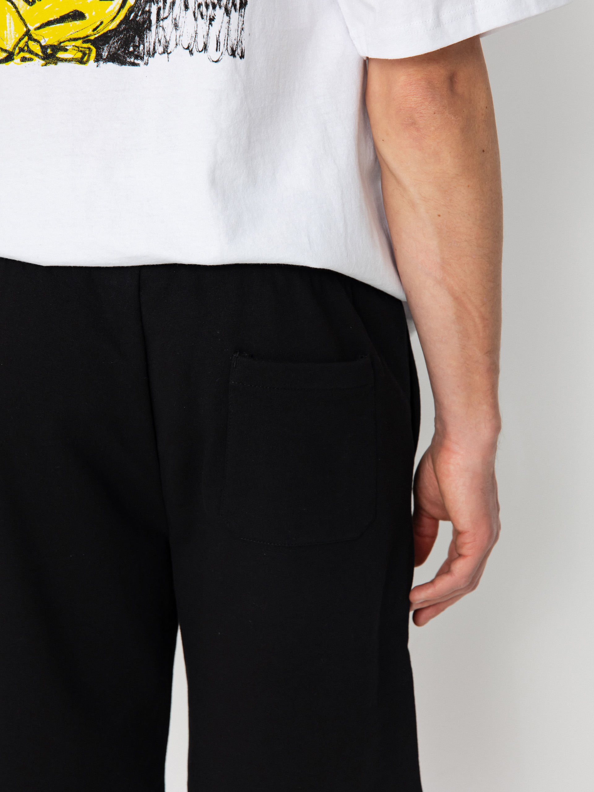 Dickies Mapleton Shorts (black)