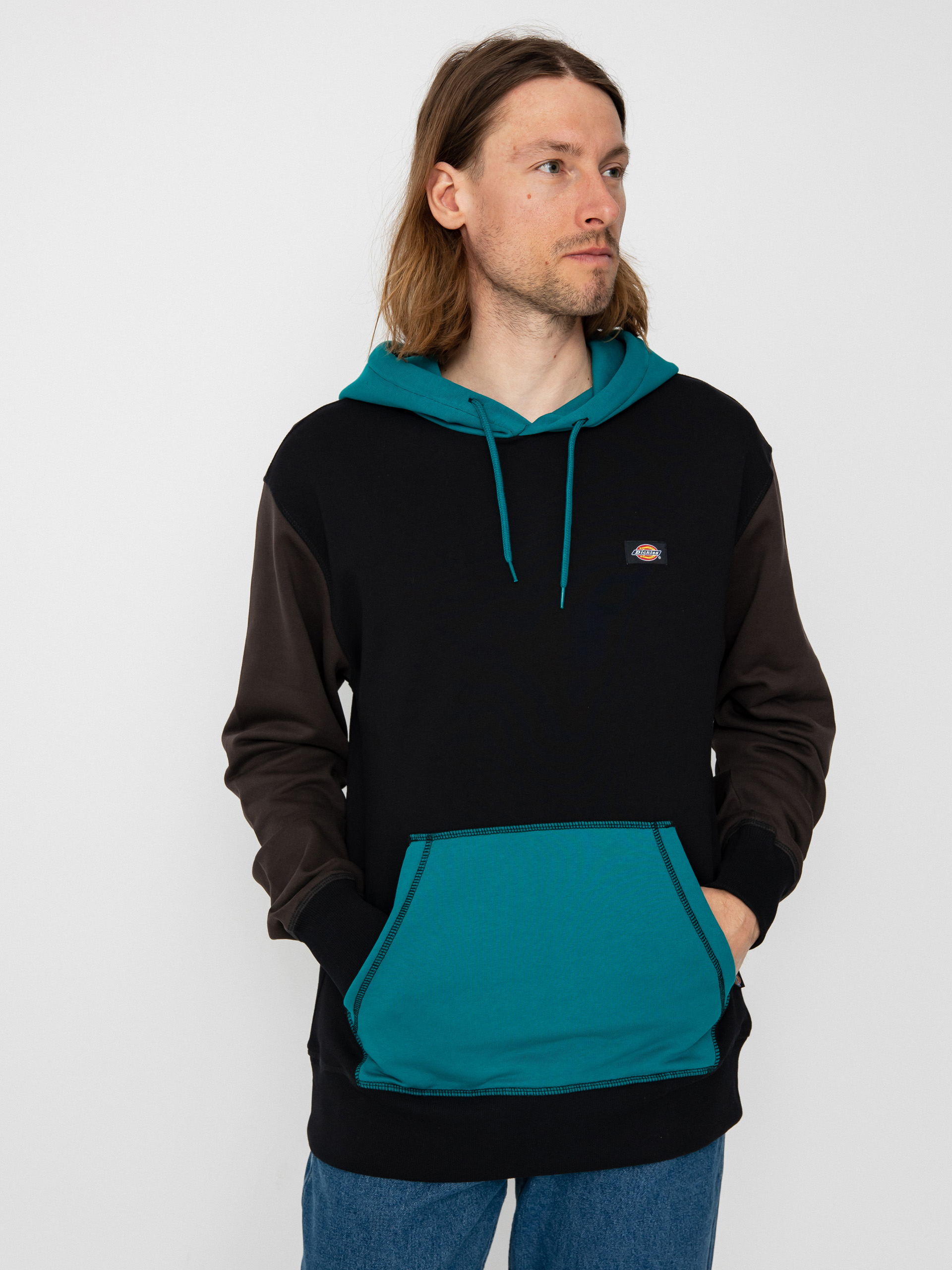 Dickies Eddyville HD Hoodie (black)