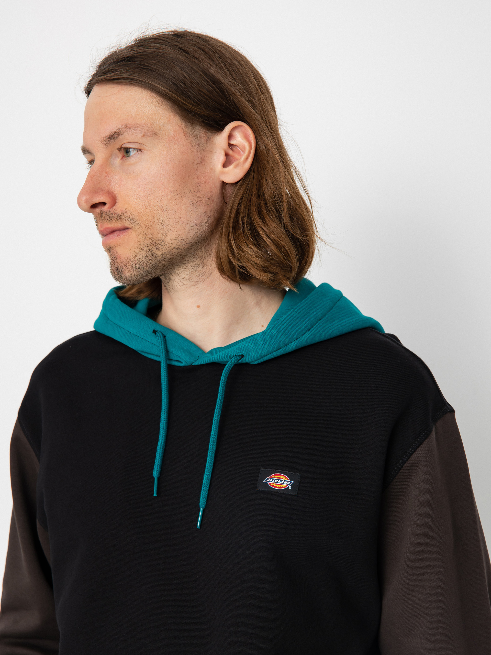 Dickies Eddyville HD Hoodie (black)