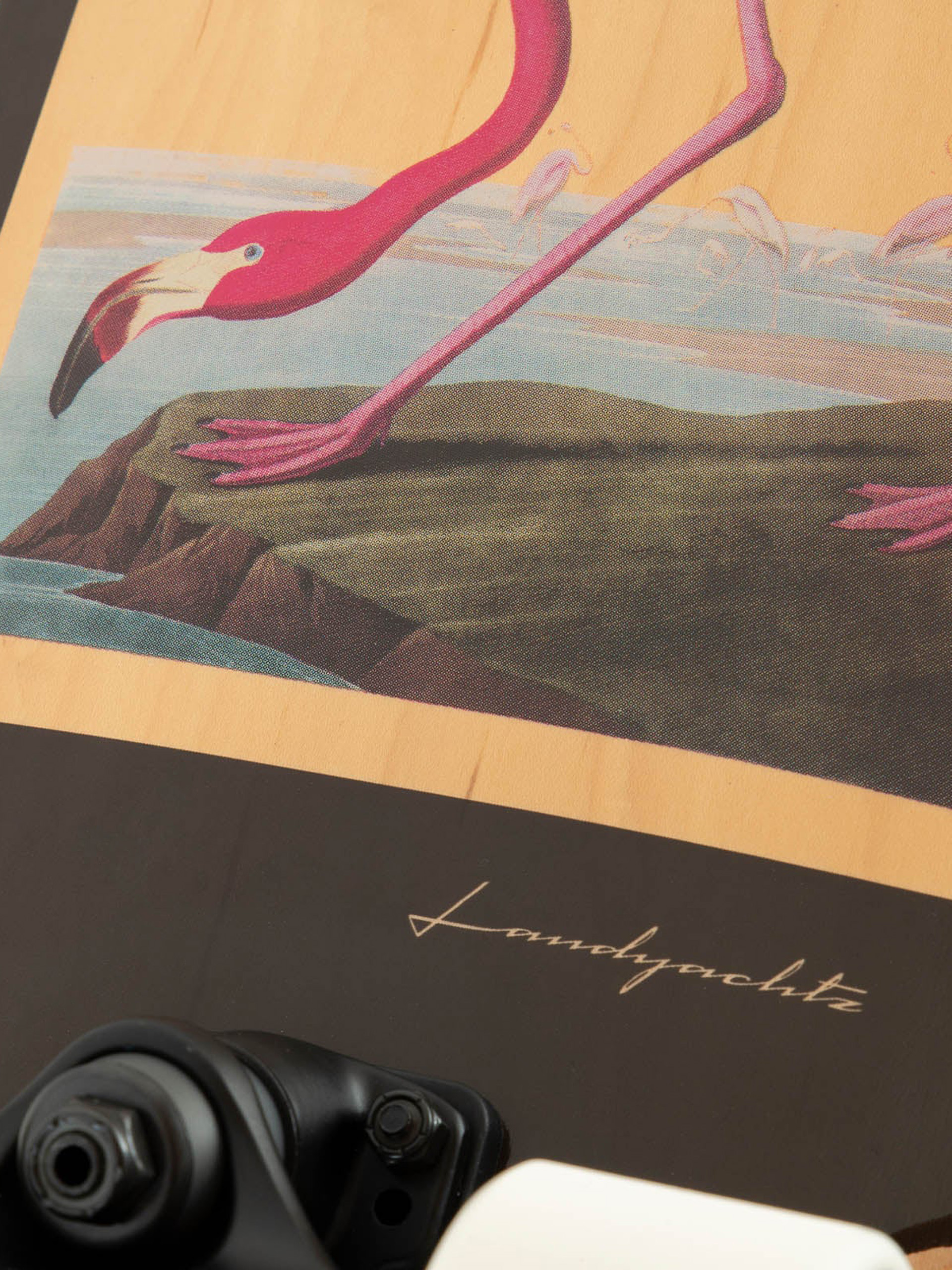 Landyachtz Dinghy Blunt Cruiser (flamingo)