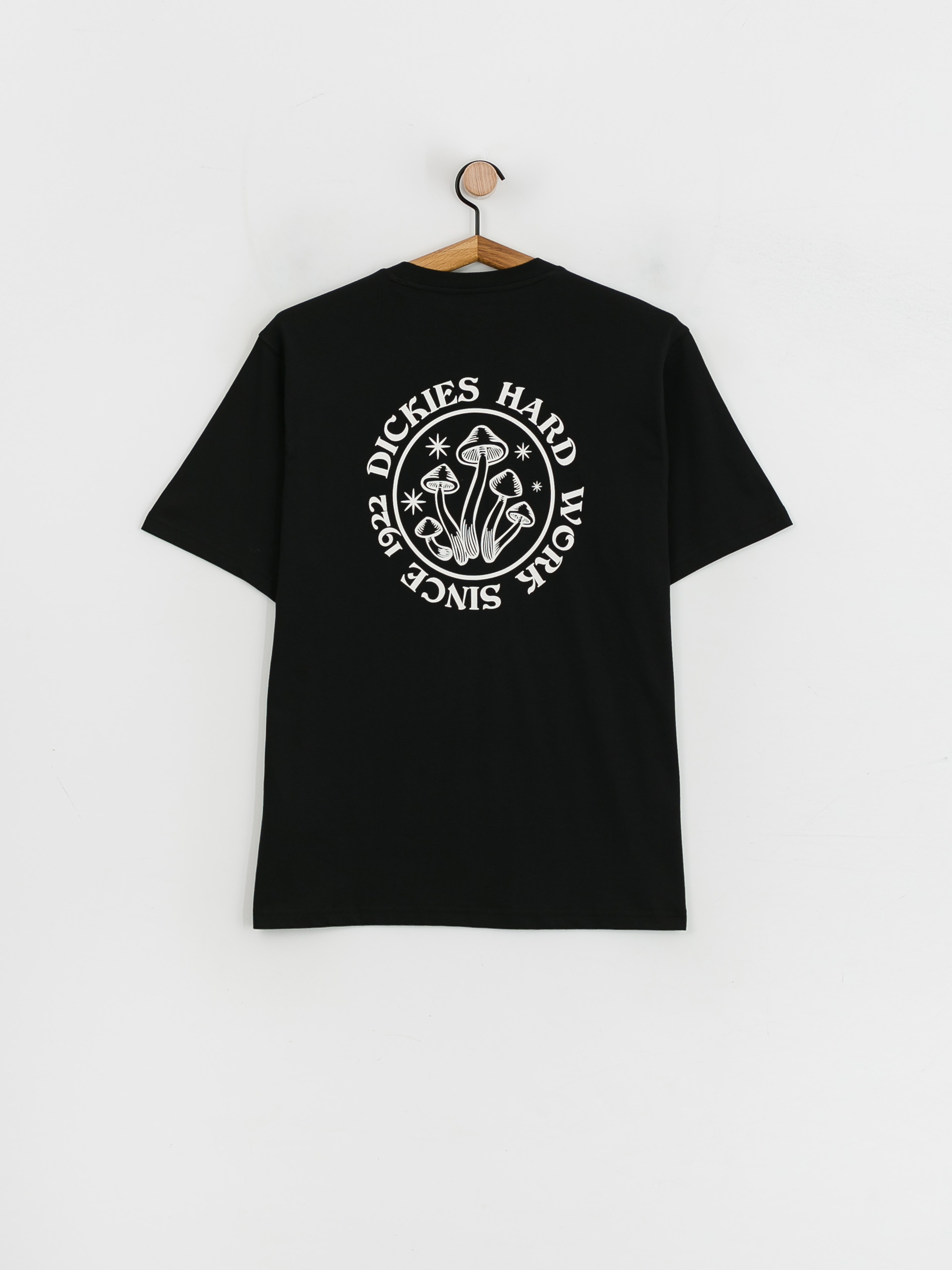 Dickies Bayside Gardens T-shirt (black)