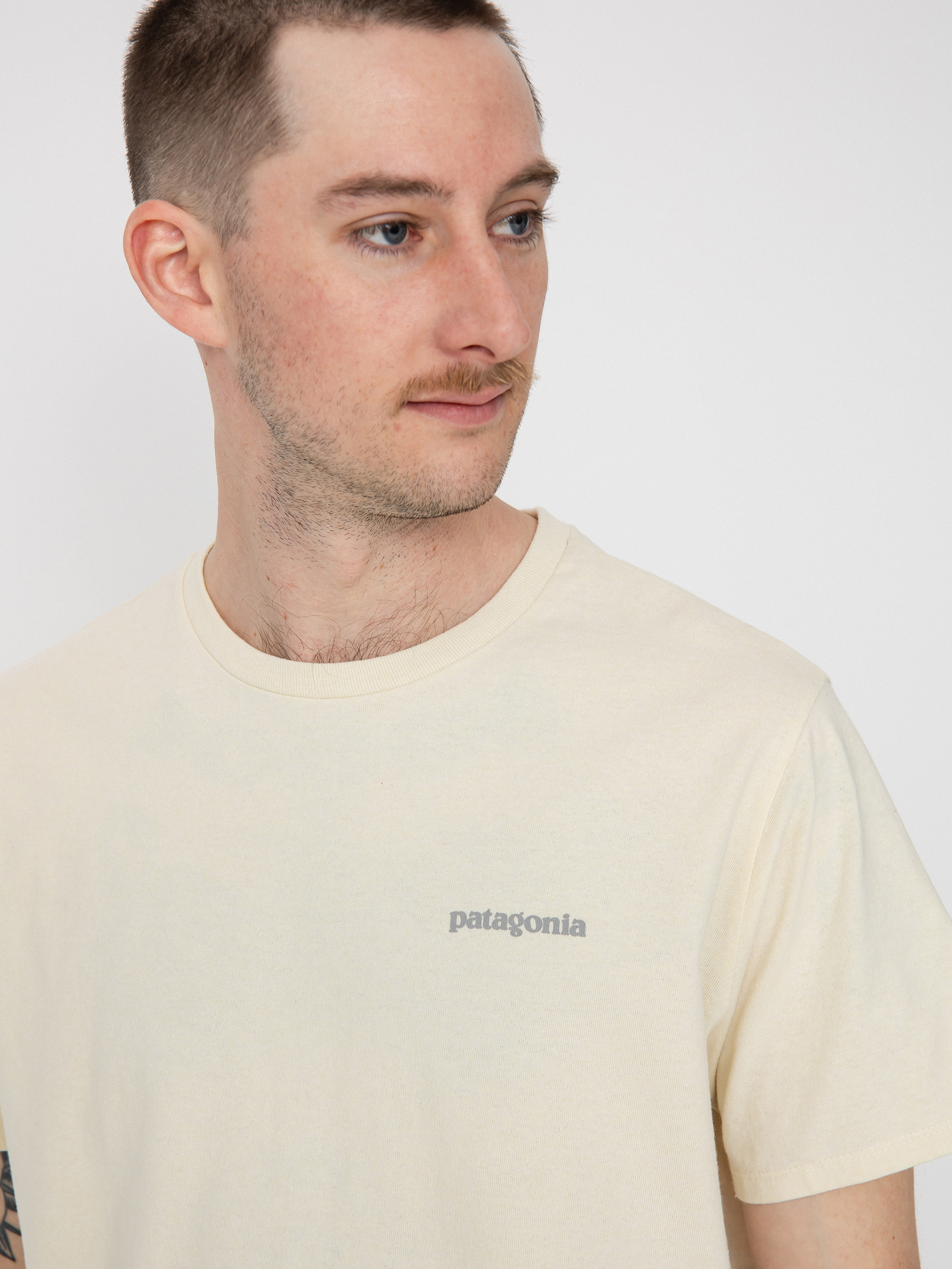 Patagonia Fitz Roy Icon Responsibili T-shirt (birch white)