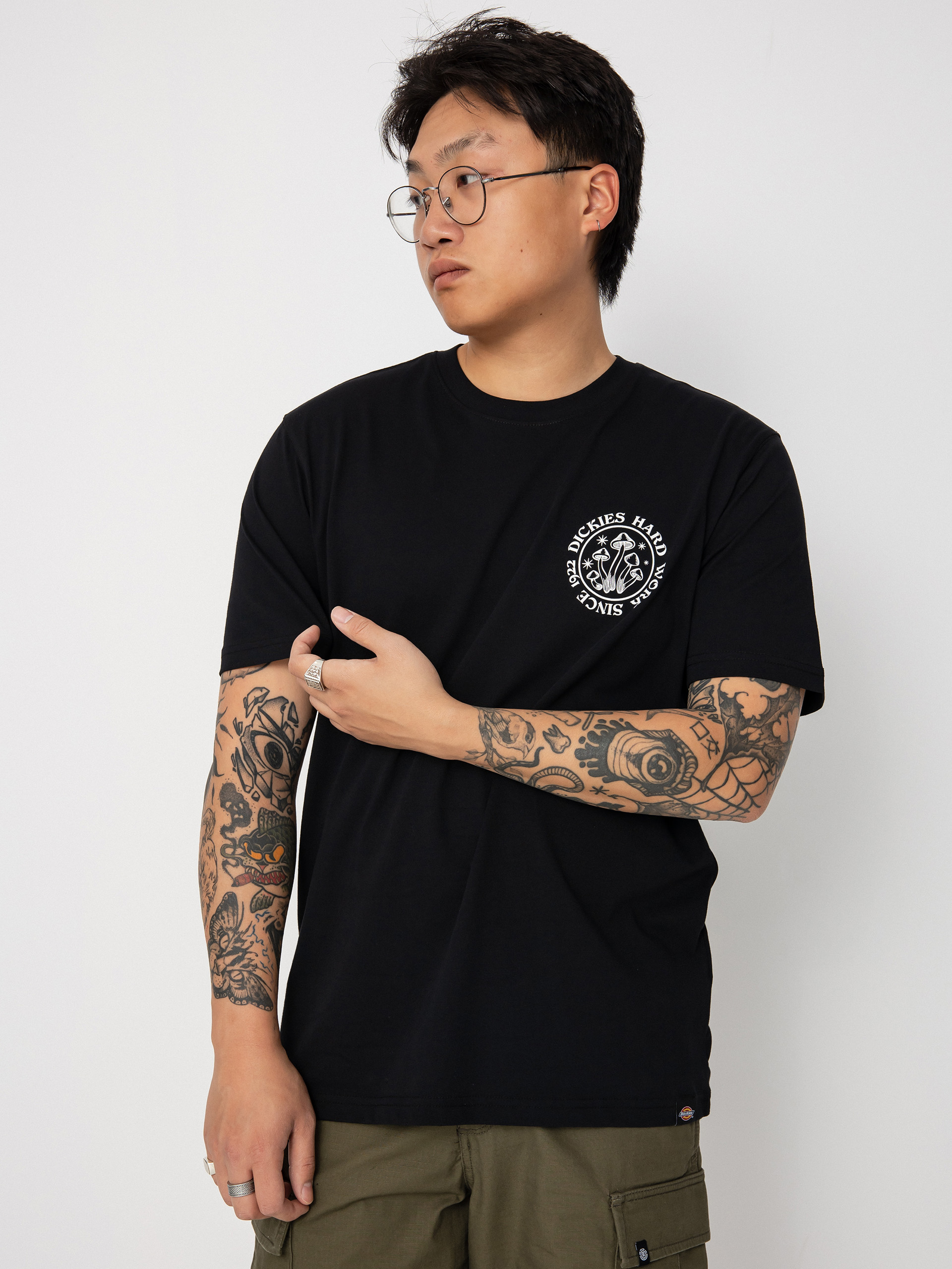 Dickies Bayside Gardens T-shirt (black)