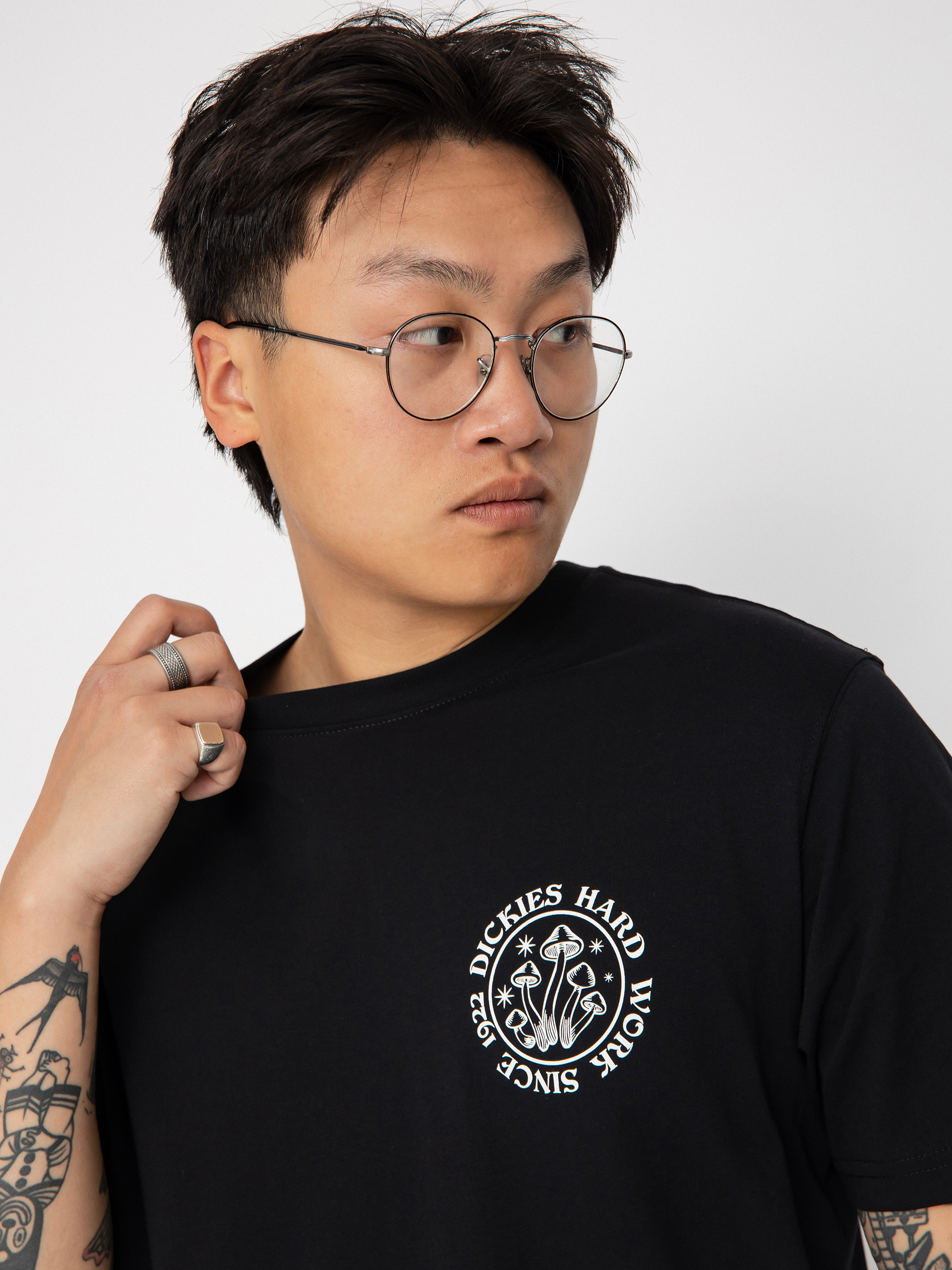 Dickies Bayside Gardens T-shirt (black)