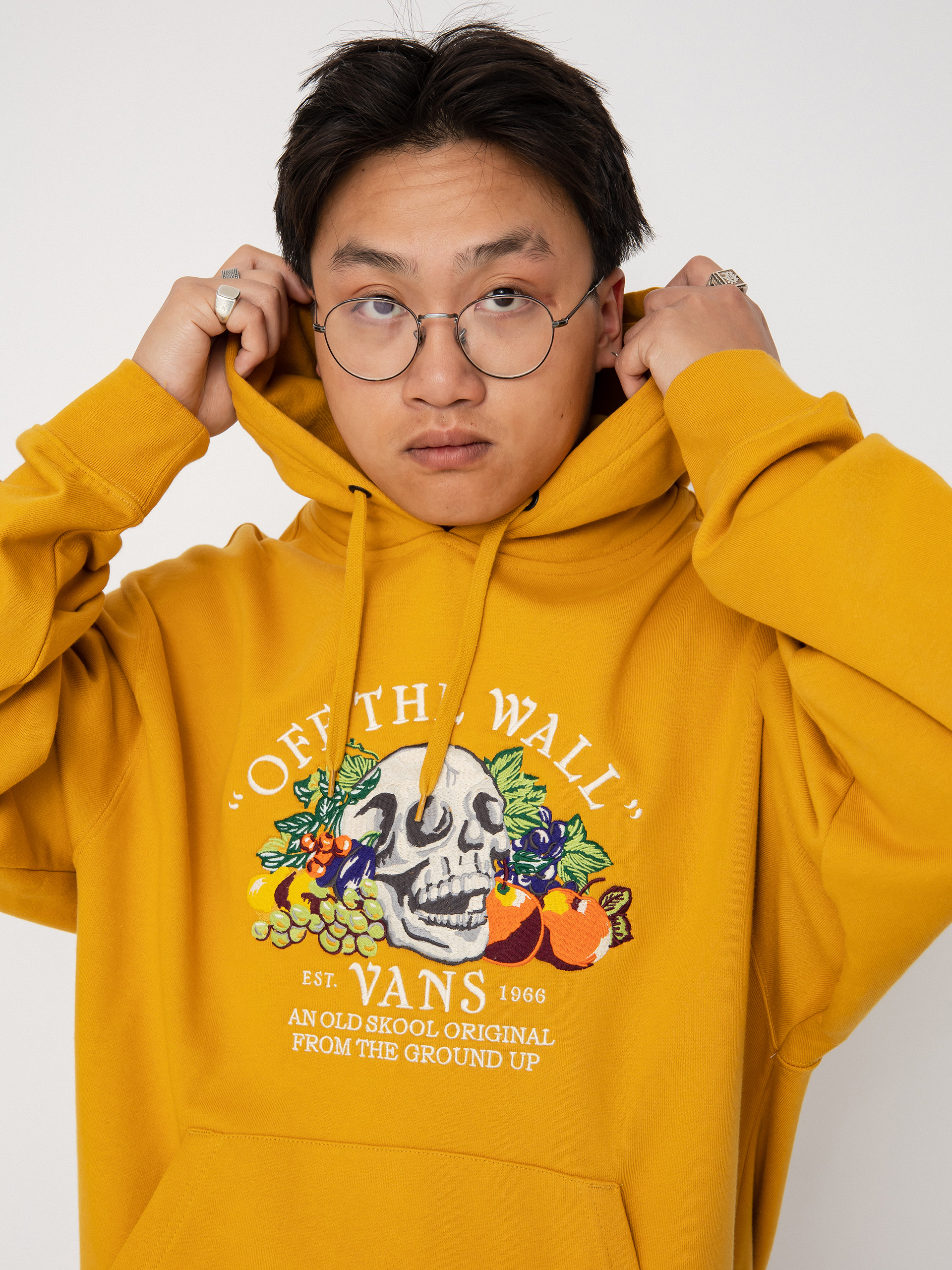 Vans From The Ground Up HD Hoodie (narcissus)