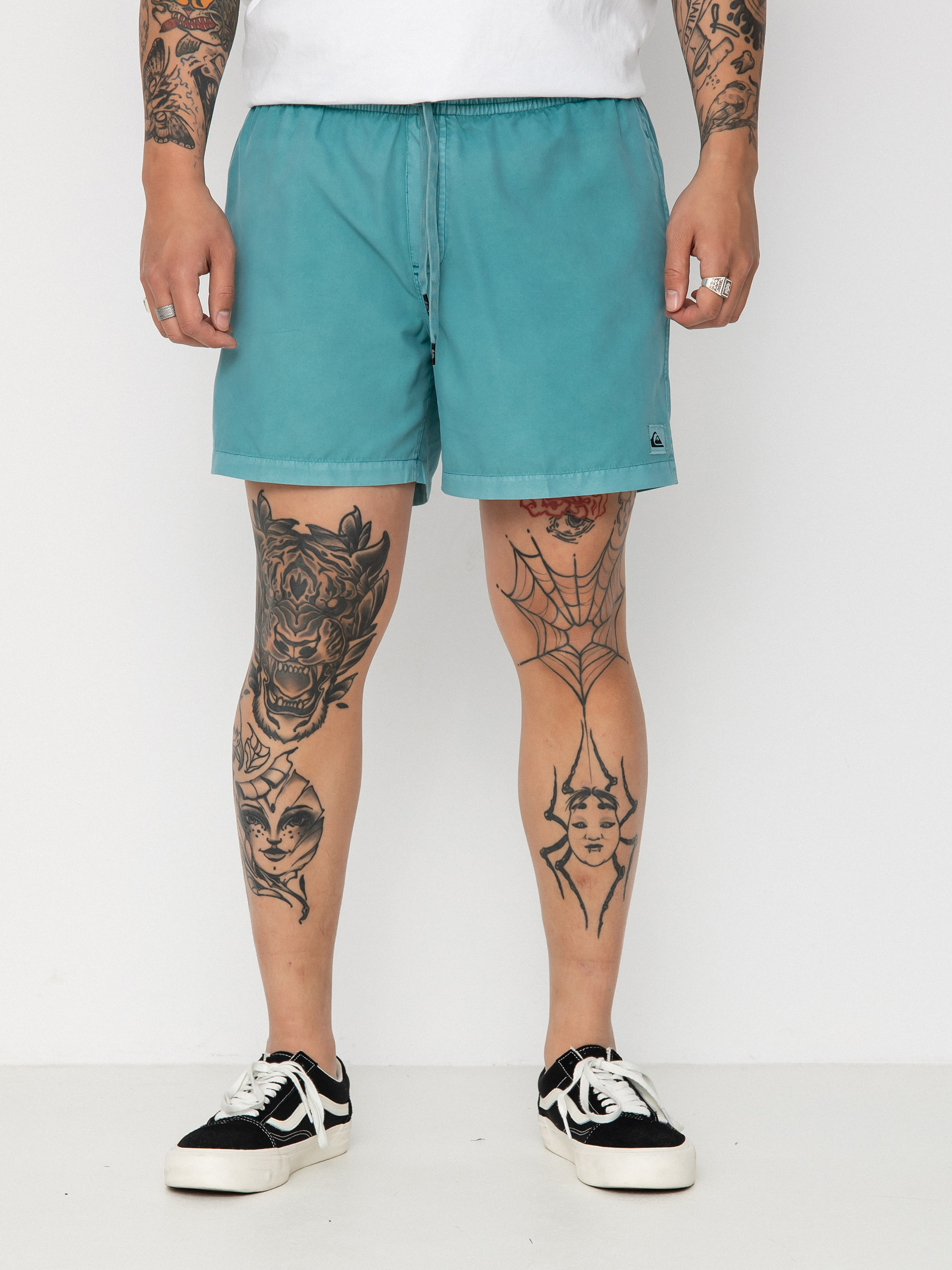 Quiksilver Everyday Surfwash Volley 15 Shorts (brittany blue)