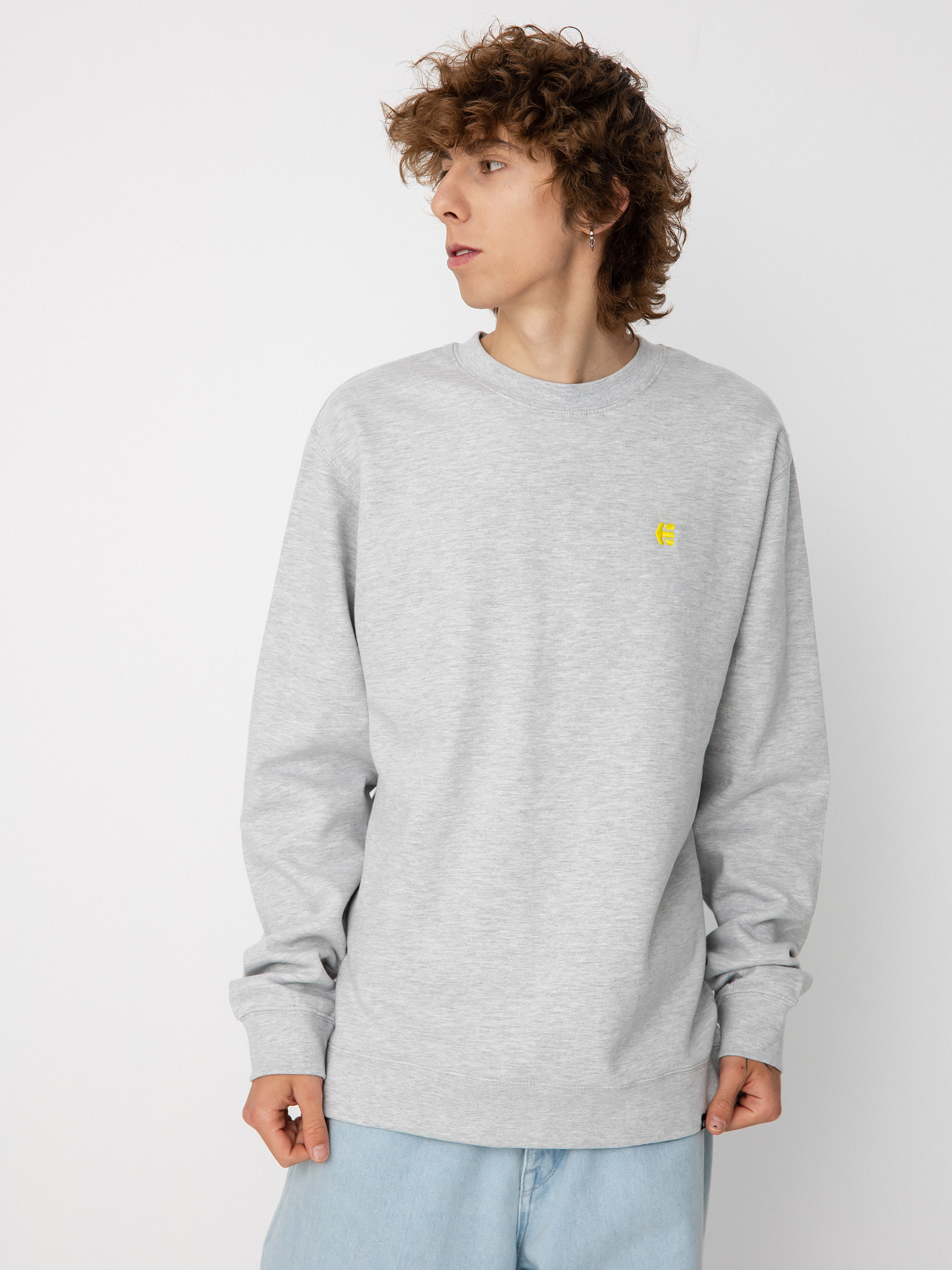 Etnies Icon Crew Sweatshirt (grey)