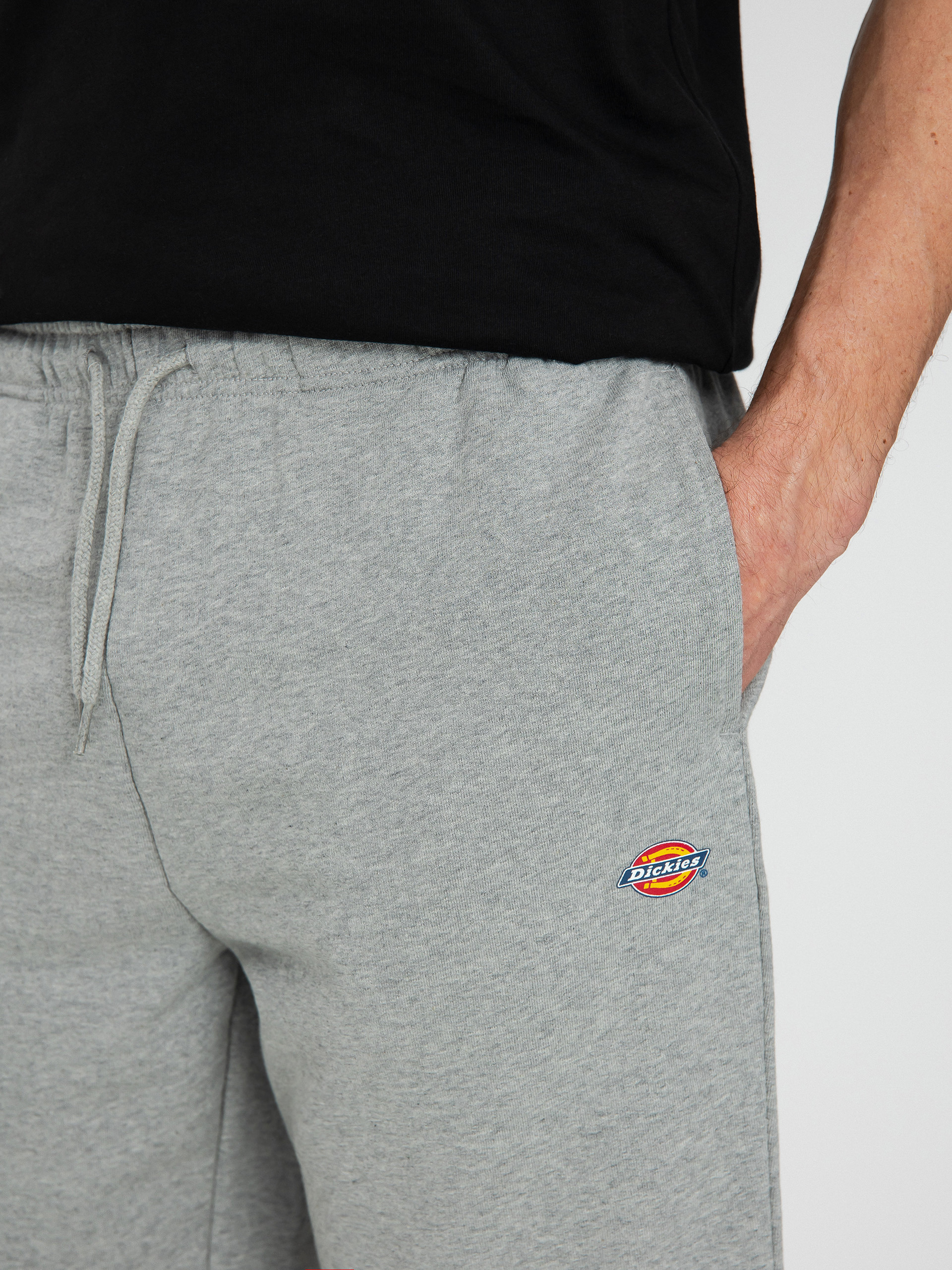 Dickies Mapleton Shorts (grey melange)