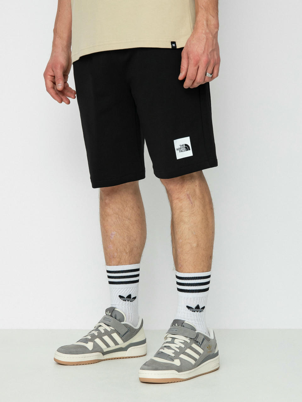 The North Face Summer Logo Shorts (tnf black)