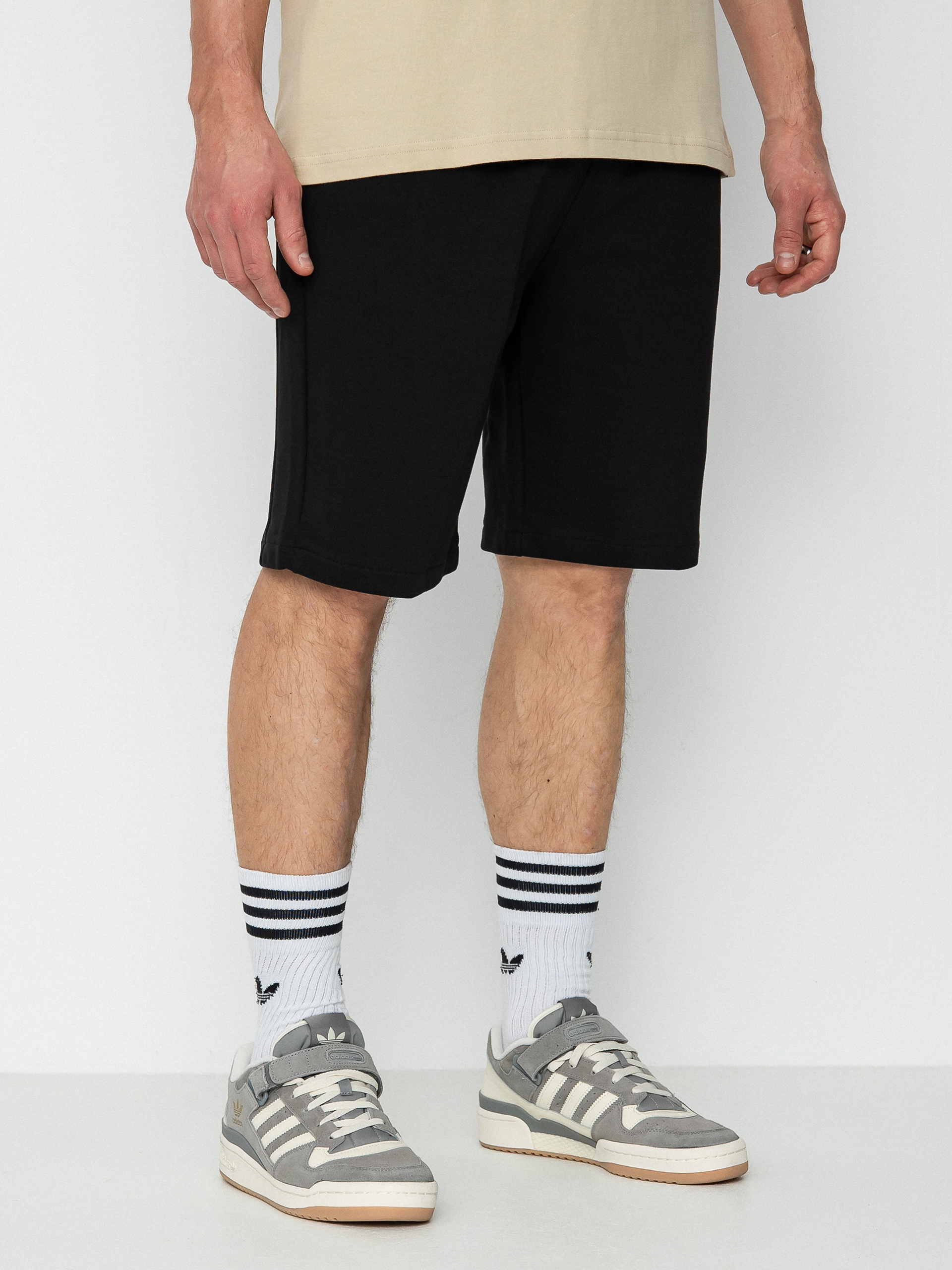 The North Face Summer Logo Shorts (tnf black)