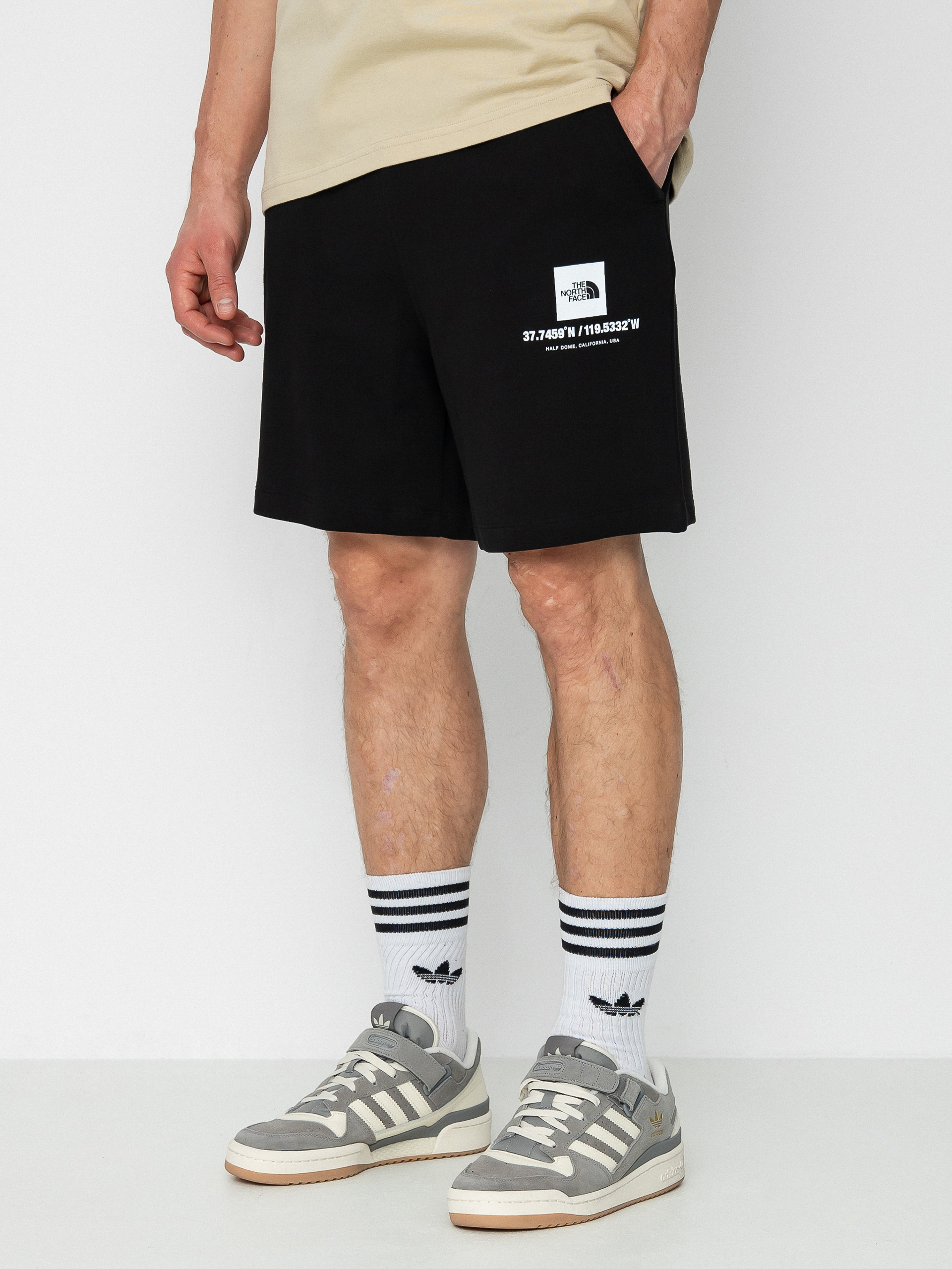 The North Face Coordinates Shorts (tnf black)