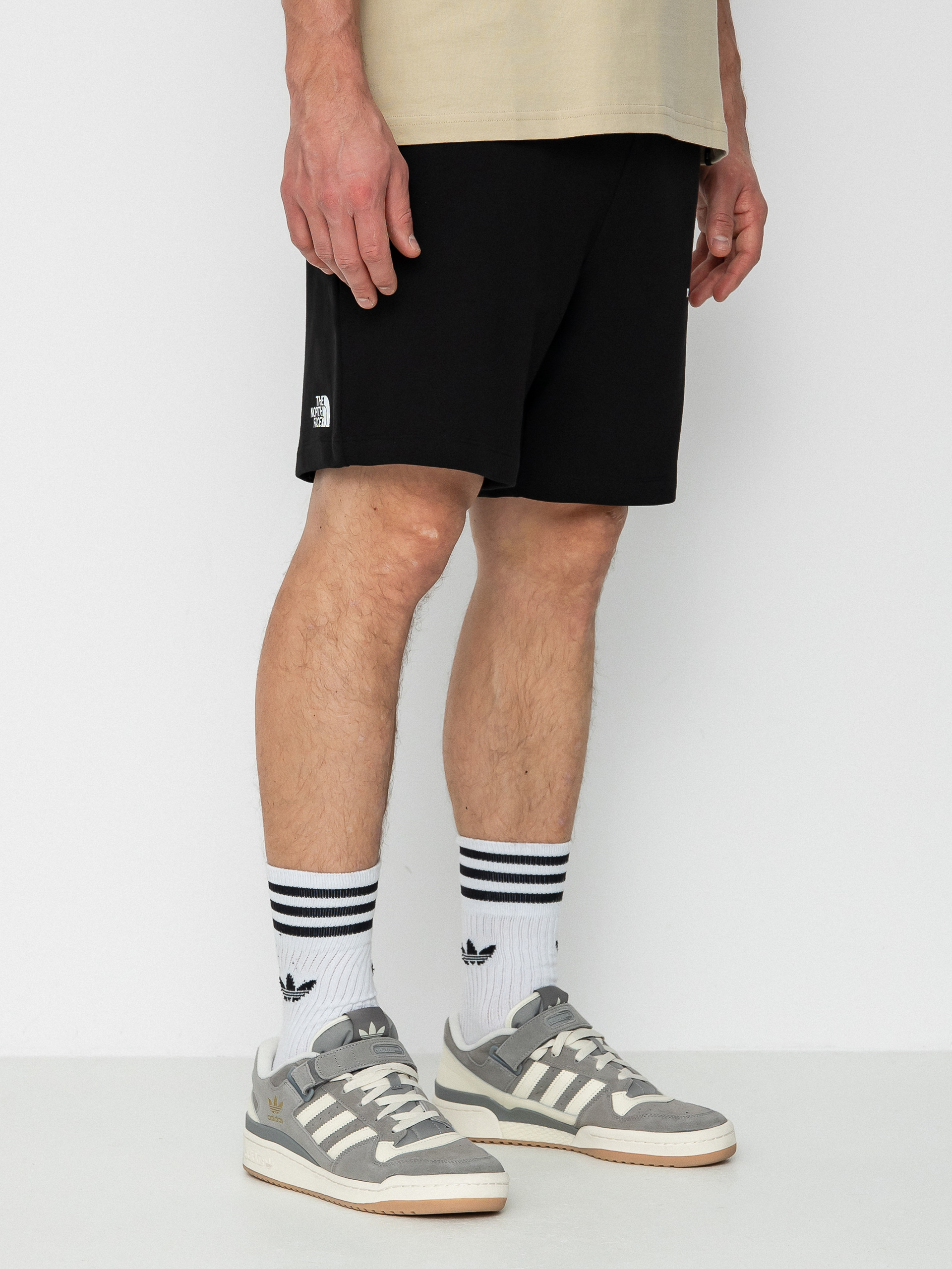 The North Face Coordinates Shorts (tnf black)
