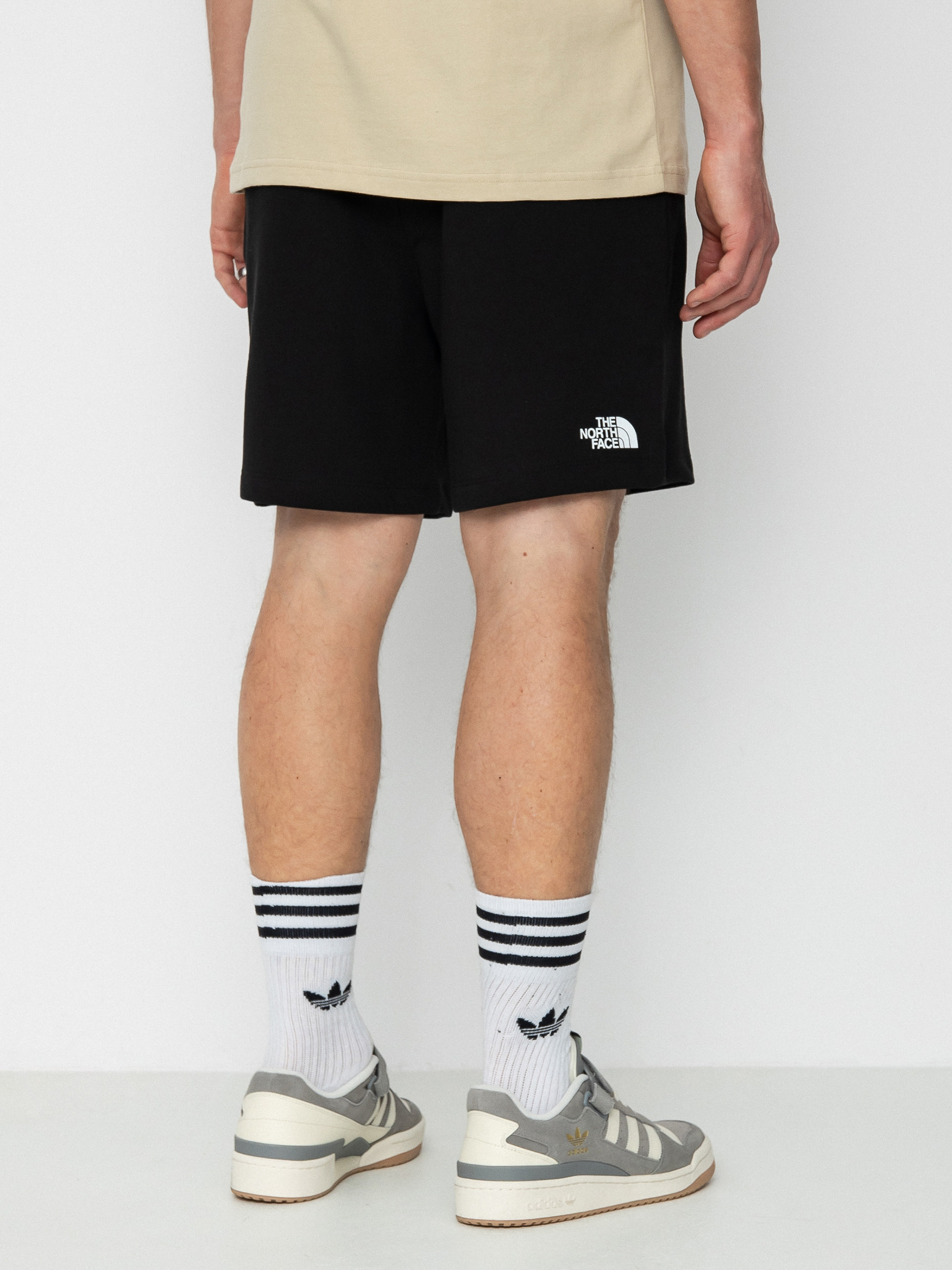 The North Face Coordinates Shorts (tnf black)