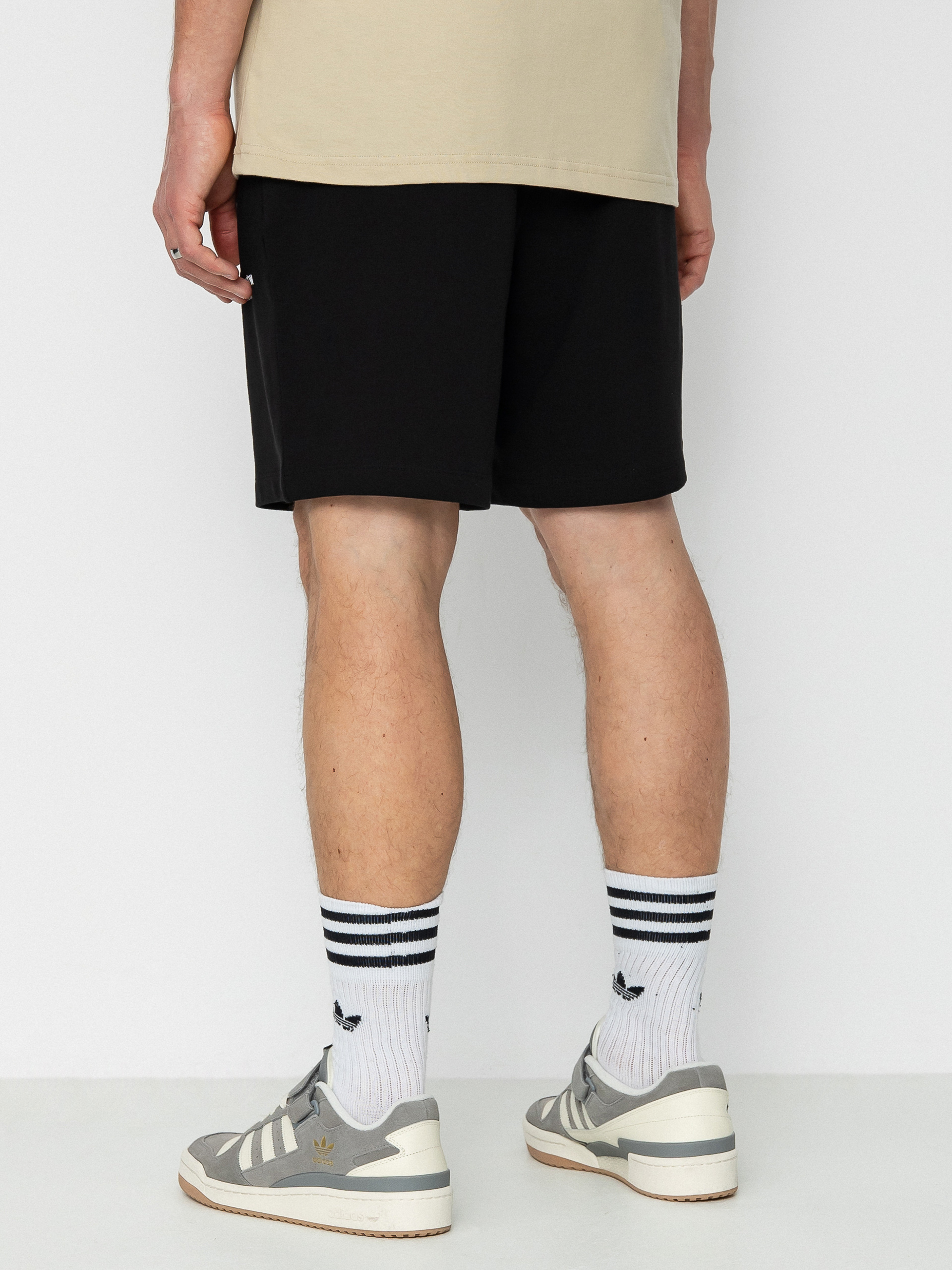The North Face Coordinates Shorts (tnf black)