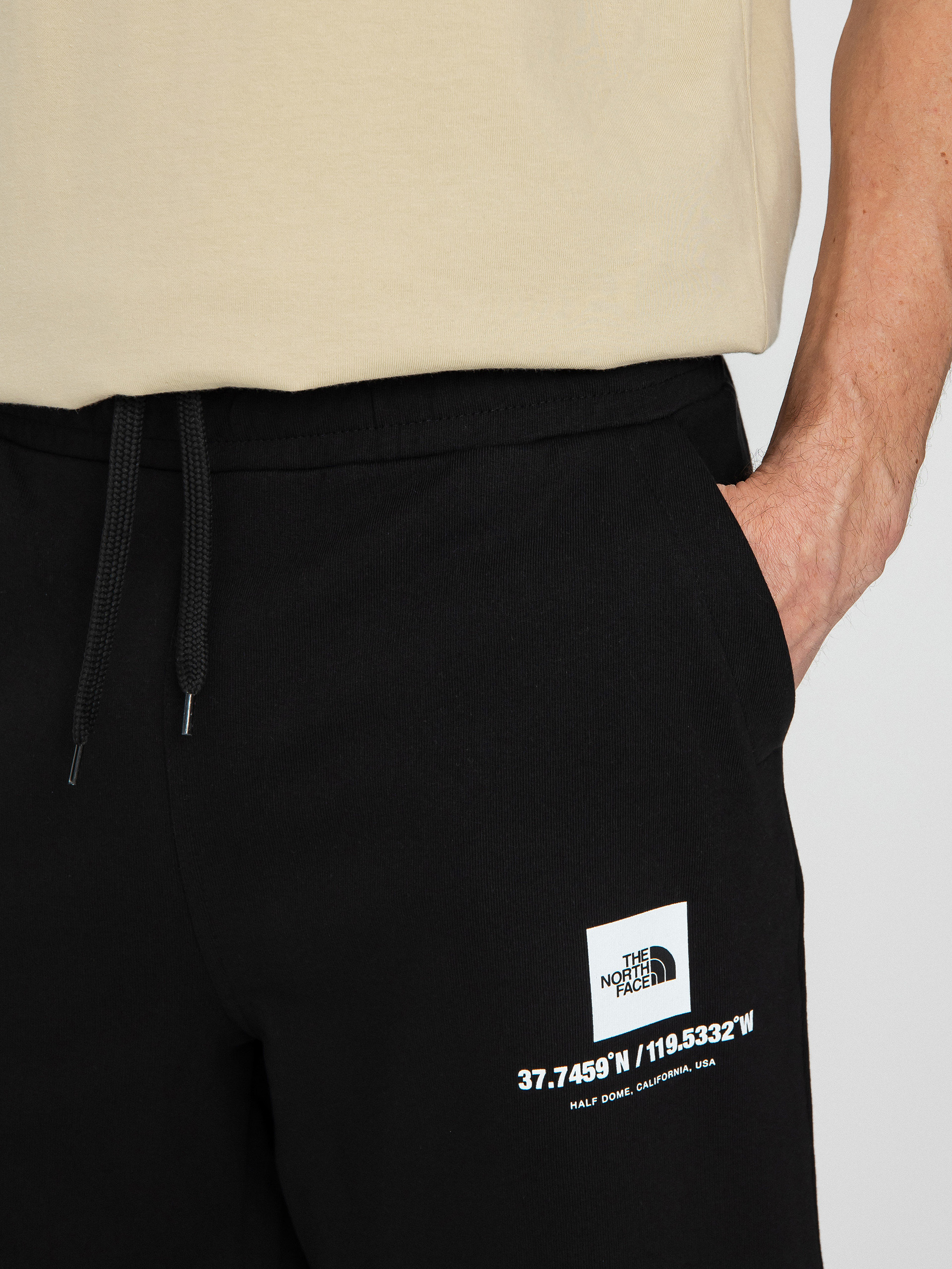 The North Face Coordinates Shorts (tnf black)