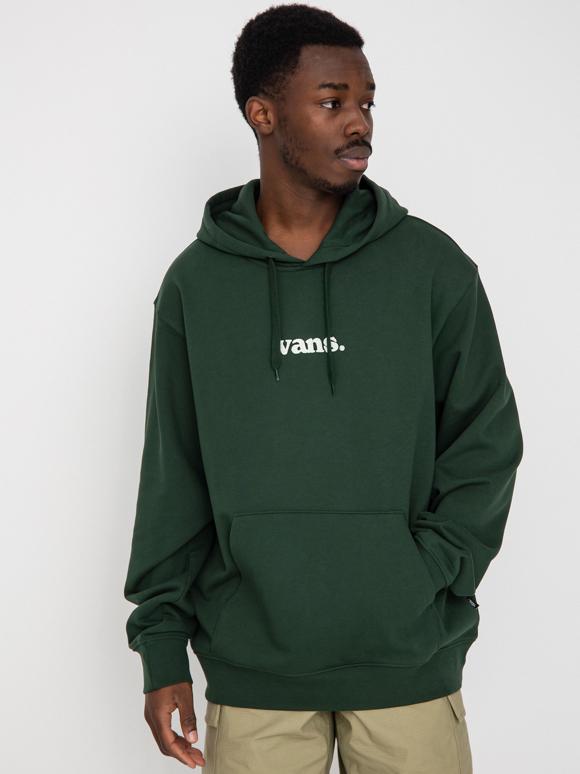 Vans Lowered HD Hoodie (mountain view)