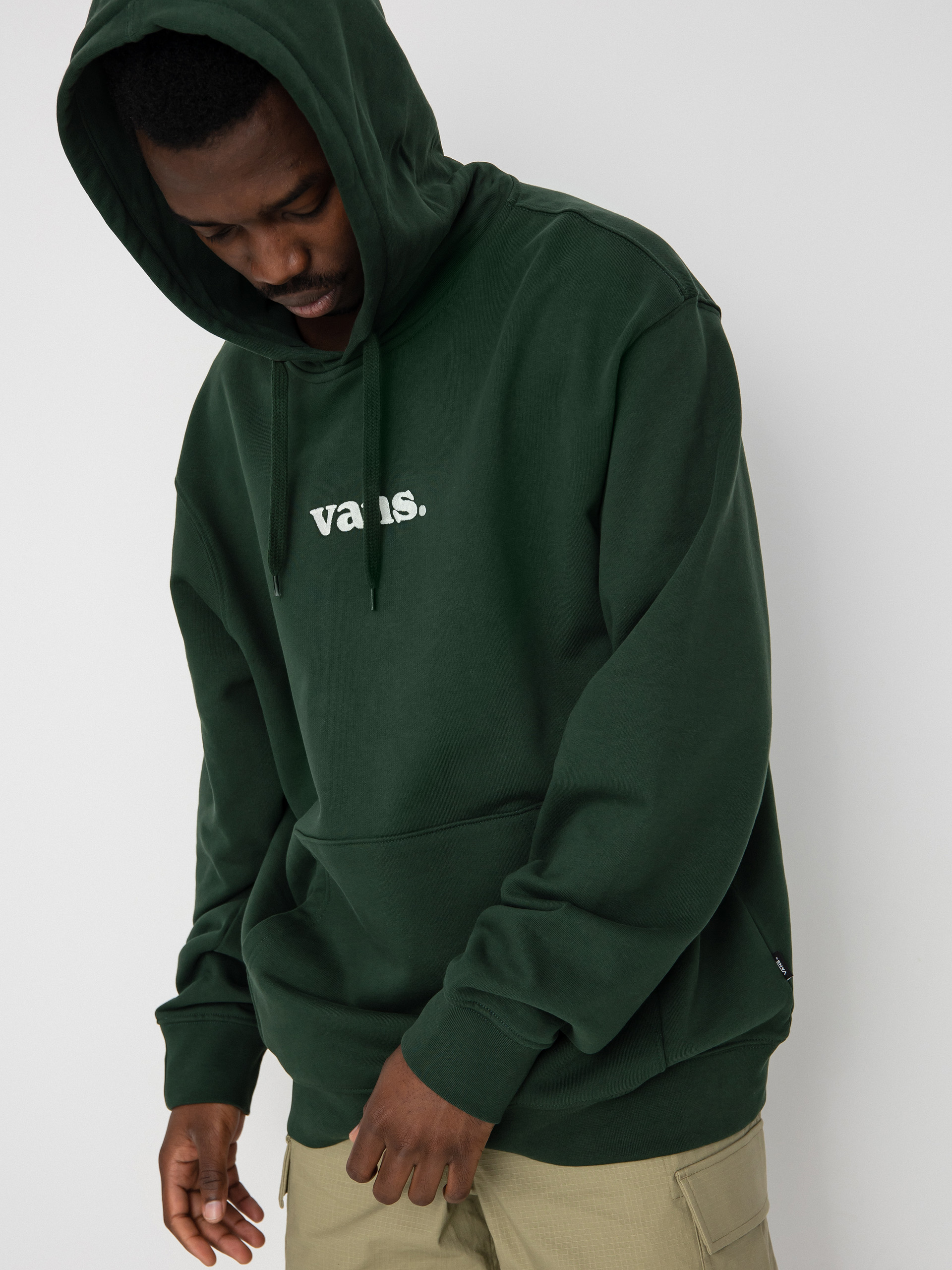 Vans Lowered HD Hoodie (mountain view)