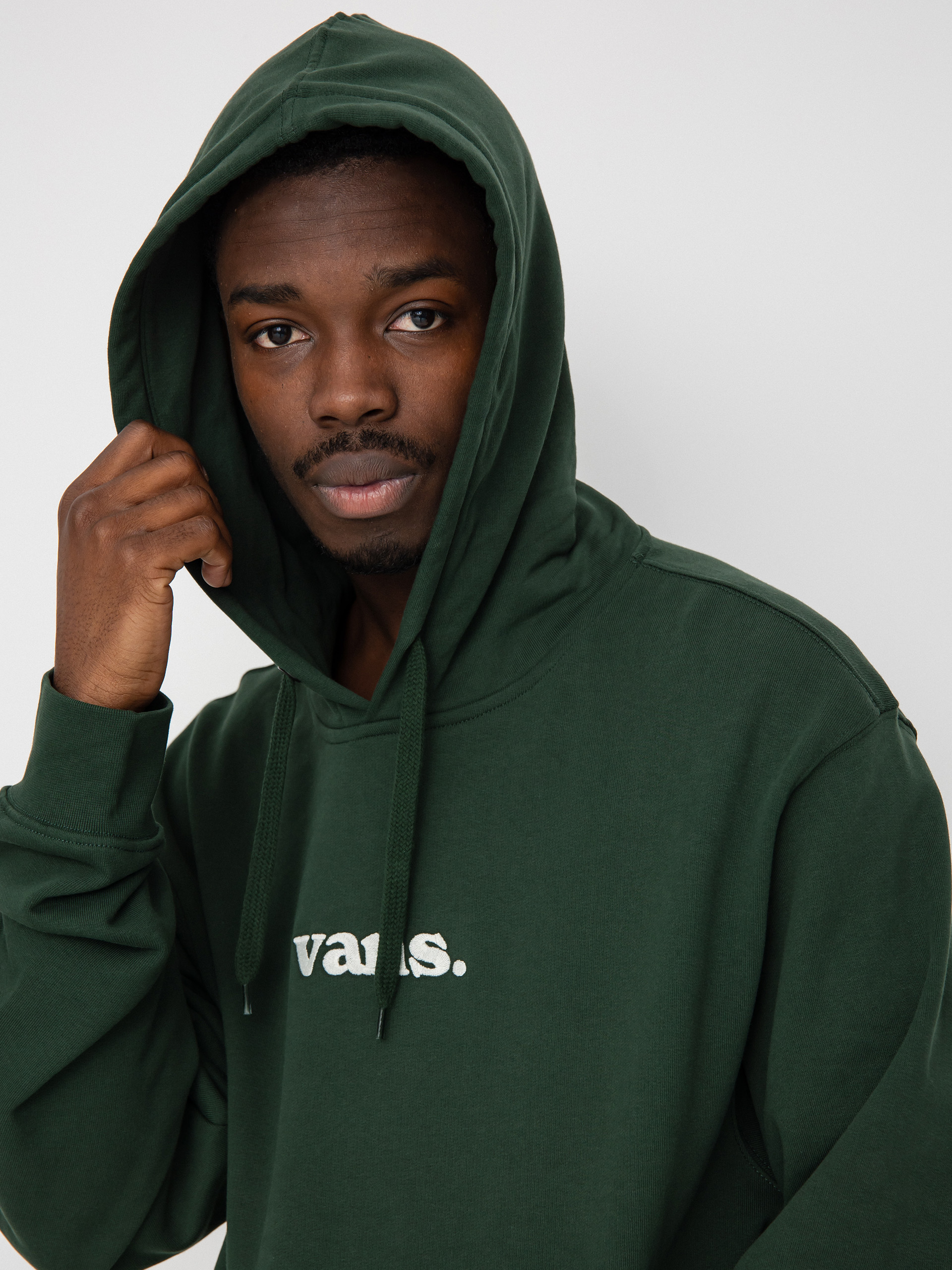 Vans Lowered HD Hoodie (mountain view)