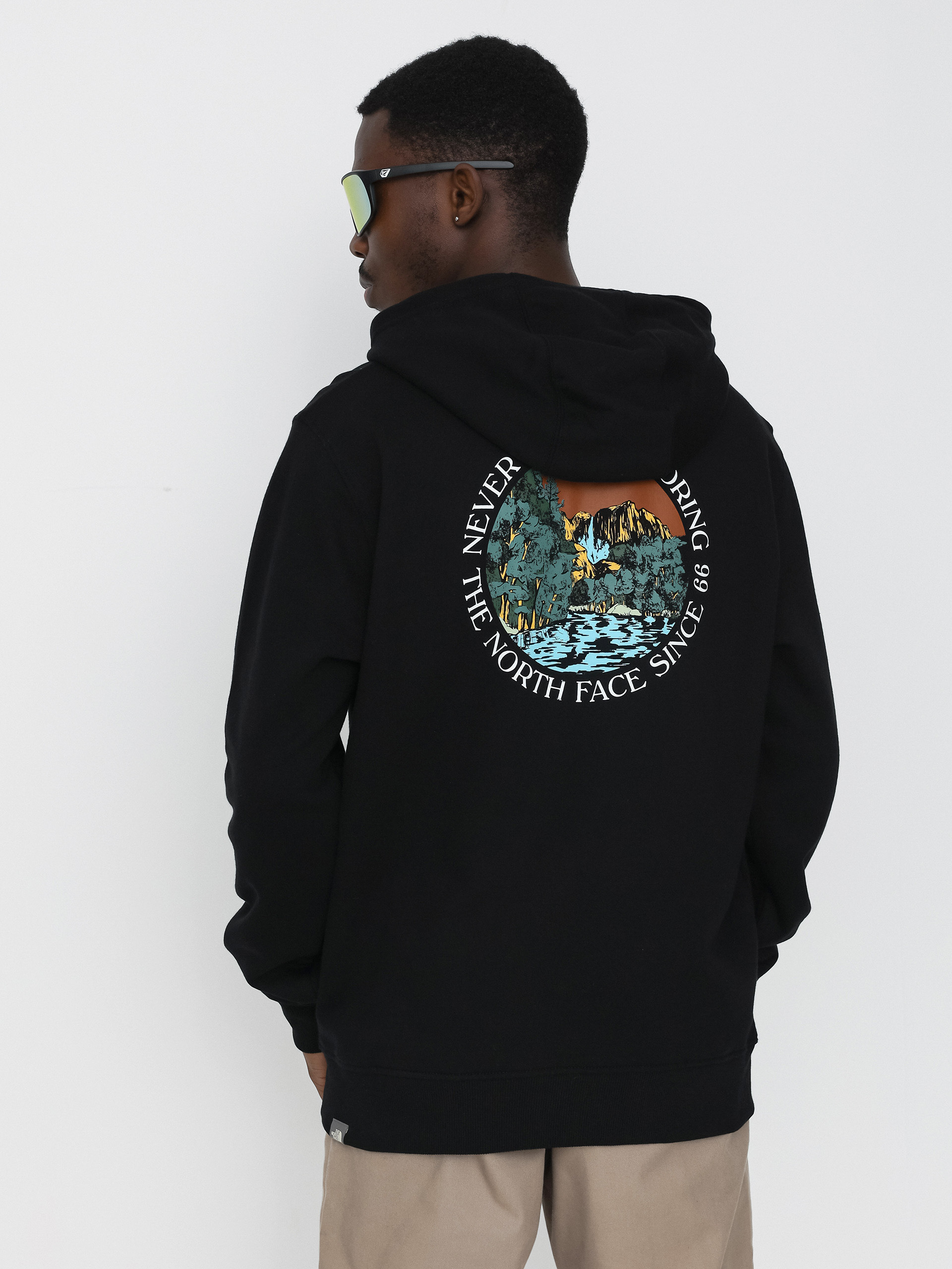 The North Face Seasonal Graphic HD Hoodie (tnf black/brandy brown)