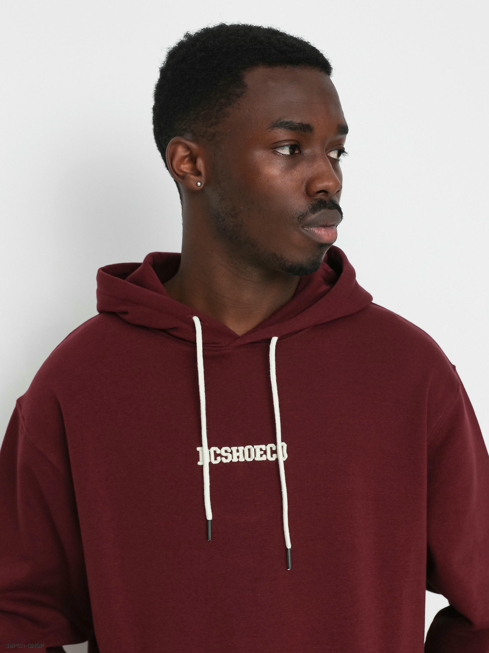 EARTH LOGO HOODIE / BURGUNDY