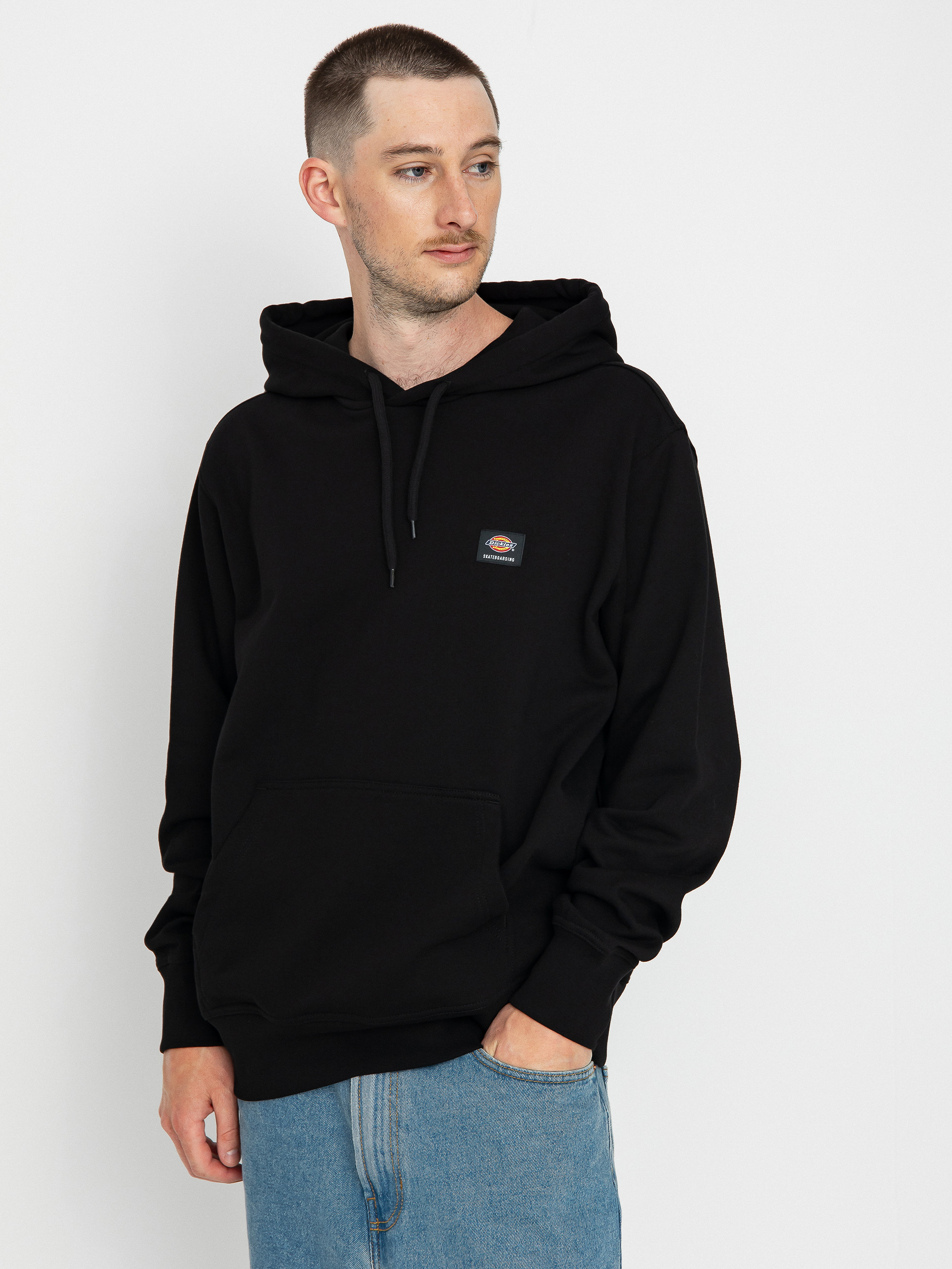 Dickies Mount Vista HD Hoodie (black)