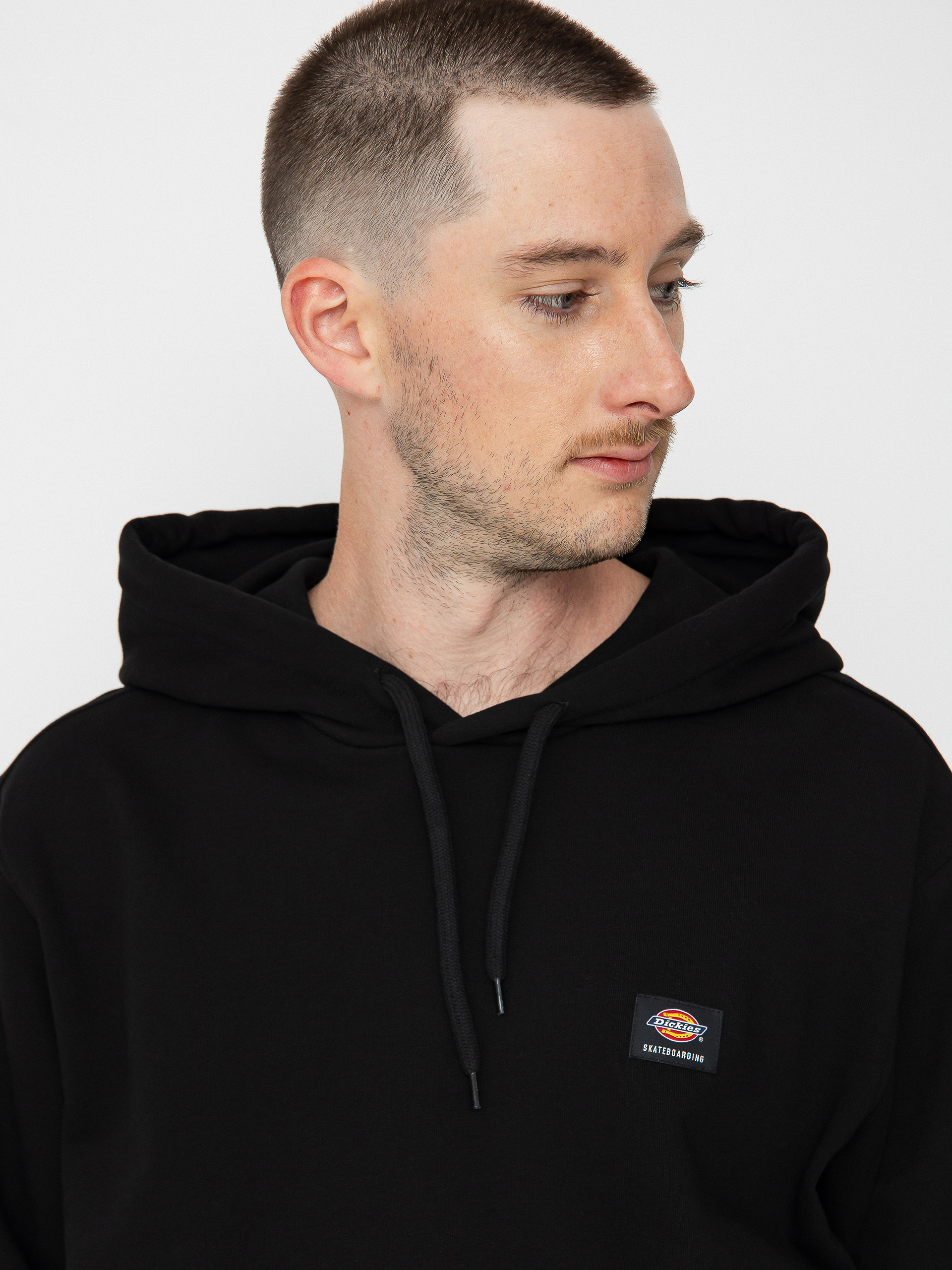 Dickies Mount Vista HD Hoodie (black)