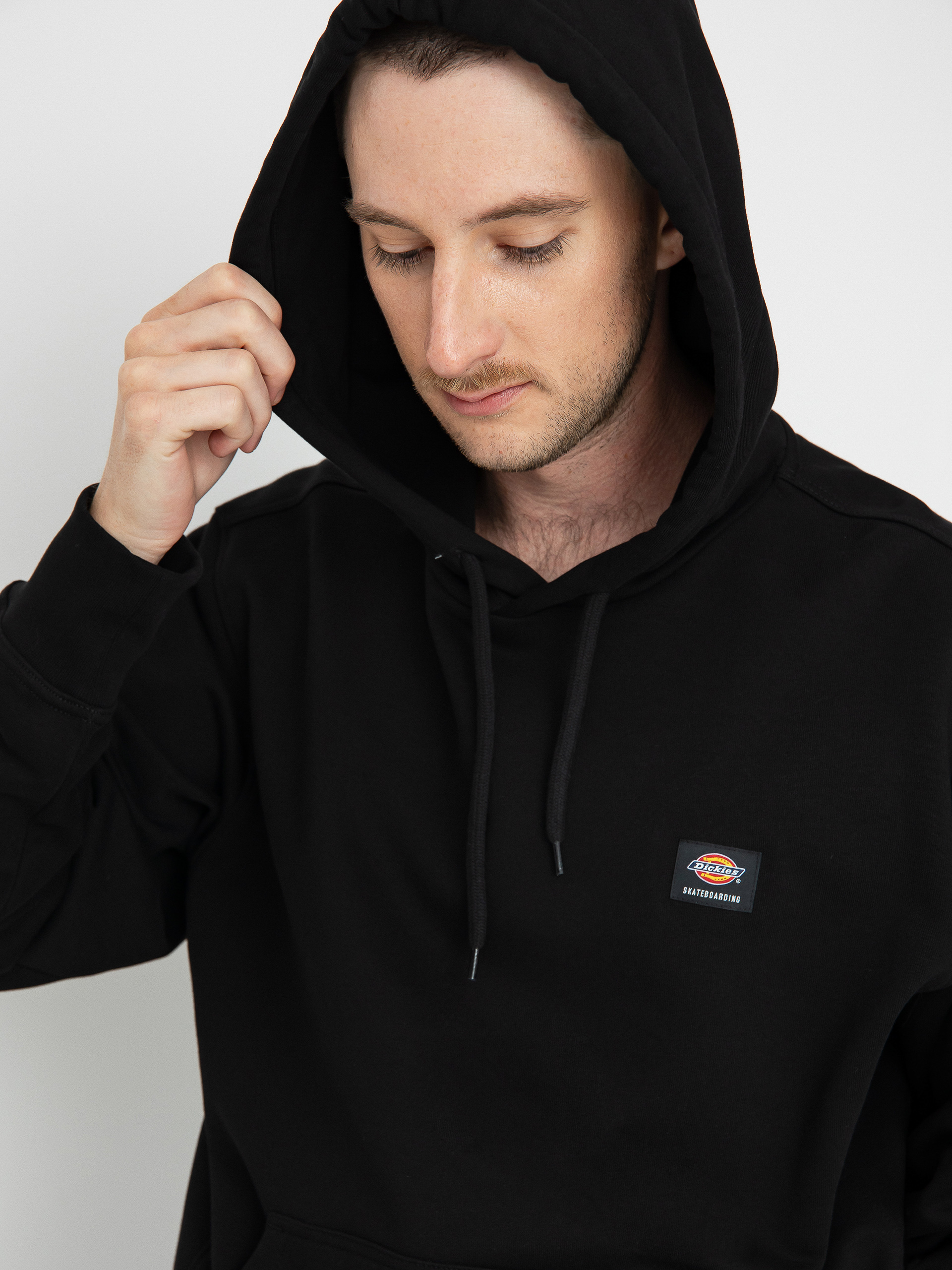Dickies Mount Vista HD Hoodie (black)