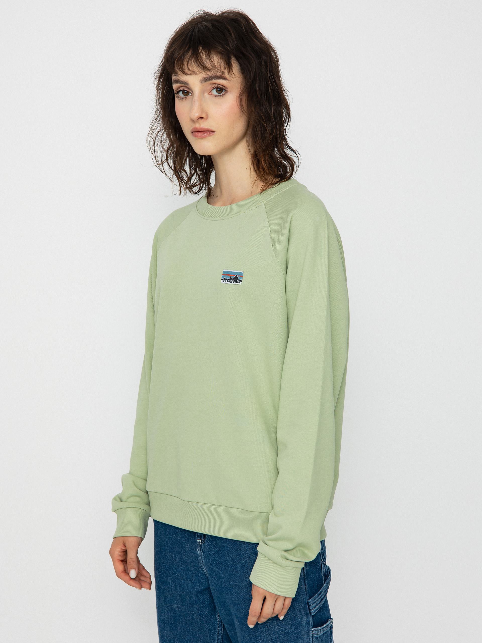 Patagonia Regenerative Organic Certified Cotton Essential Sweatshirt Wmn (salvia green)