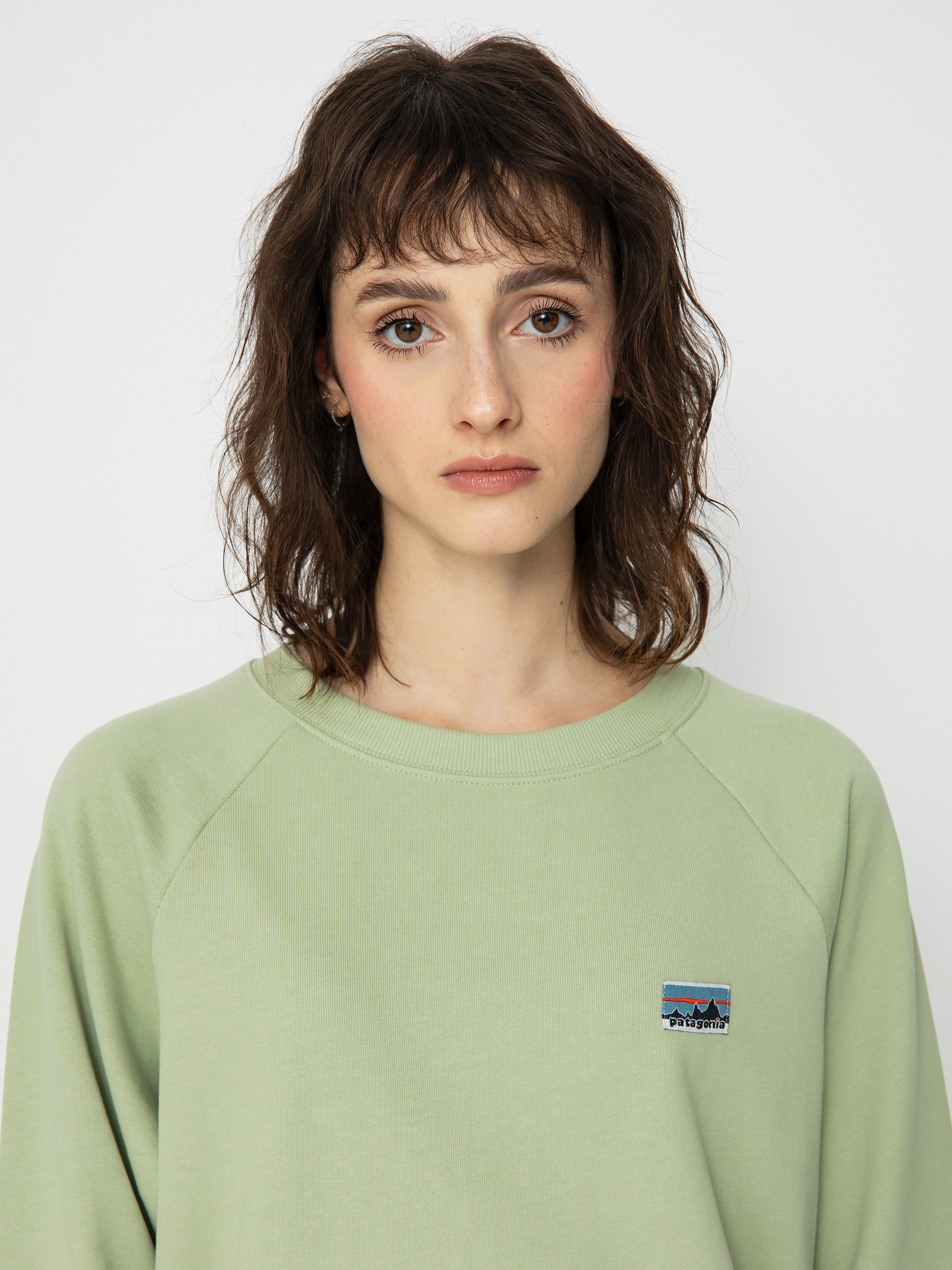 Patagonia Regenerative Organic Certified Cotton Essential Sweatshirt Wmn (salvia green)