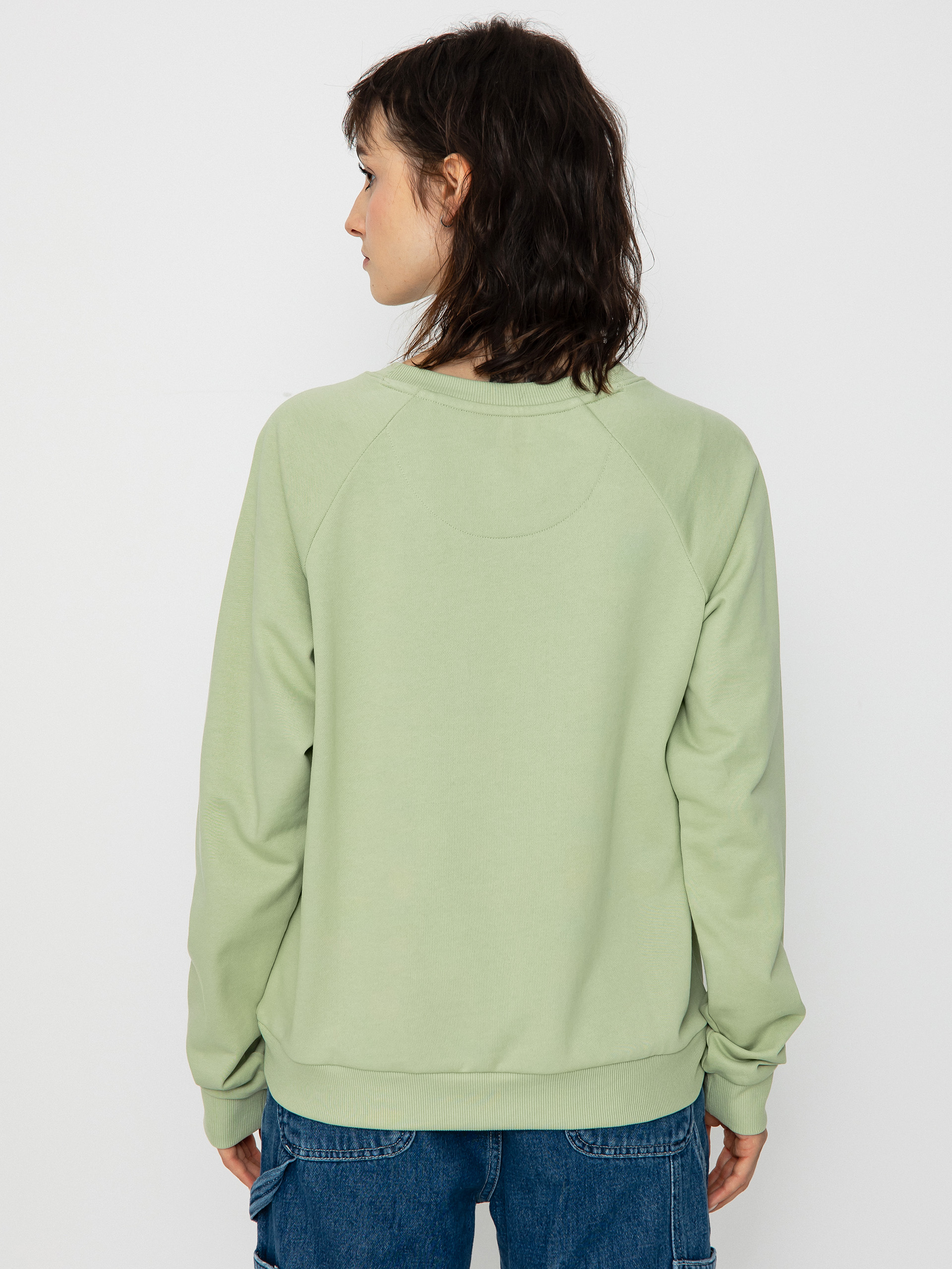 Patagonia Regenerative Organic Certified Cotton Essential Sweatshirt Wmn (salvia green)