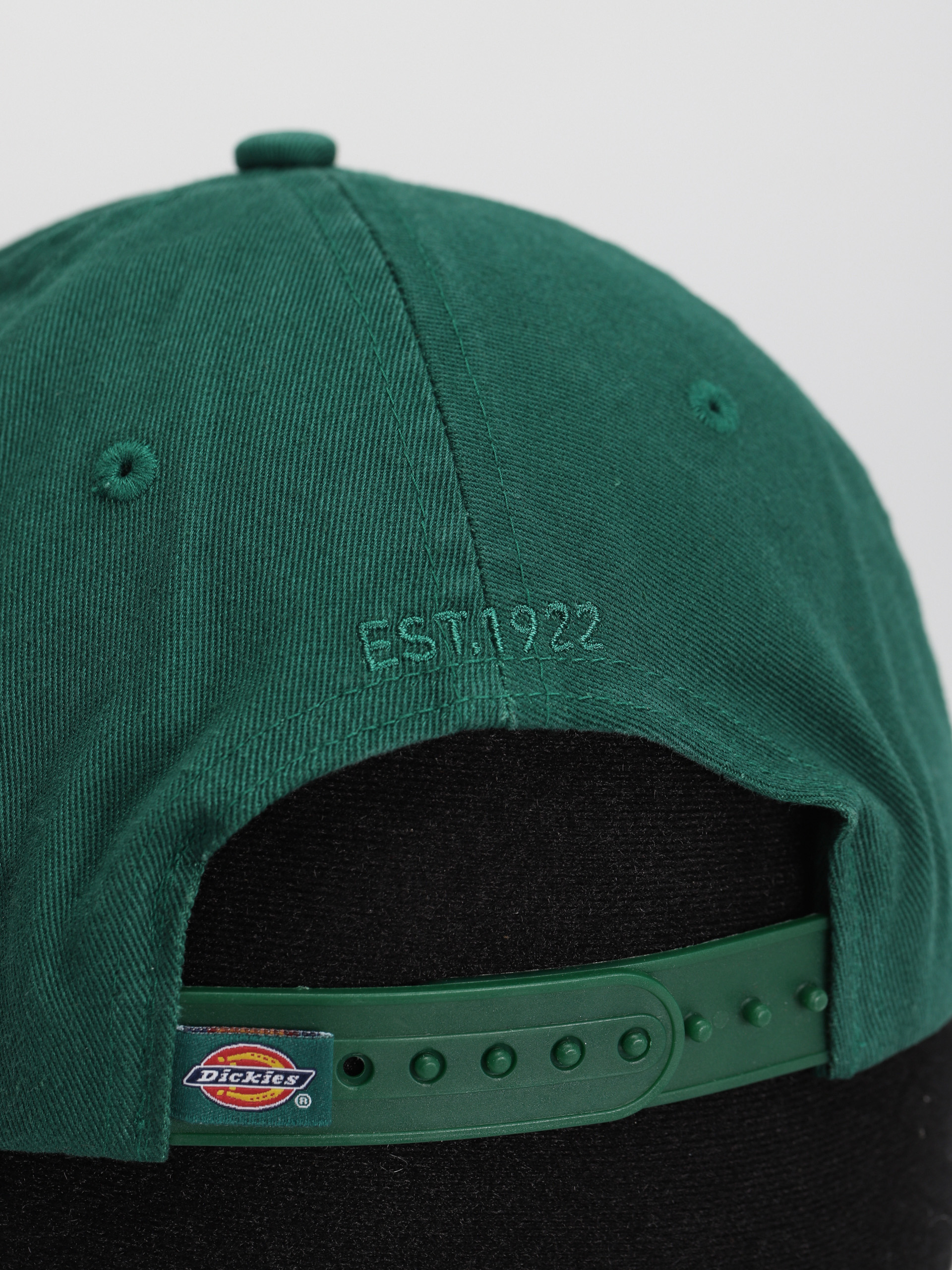 Dickies Hardwick Cap (aventurine)