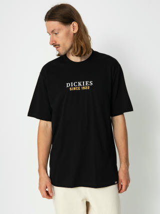 Dickies Park T-shirt (black)