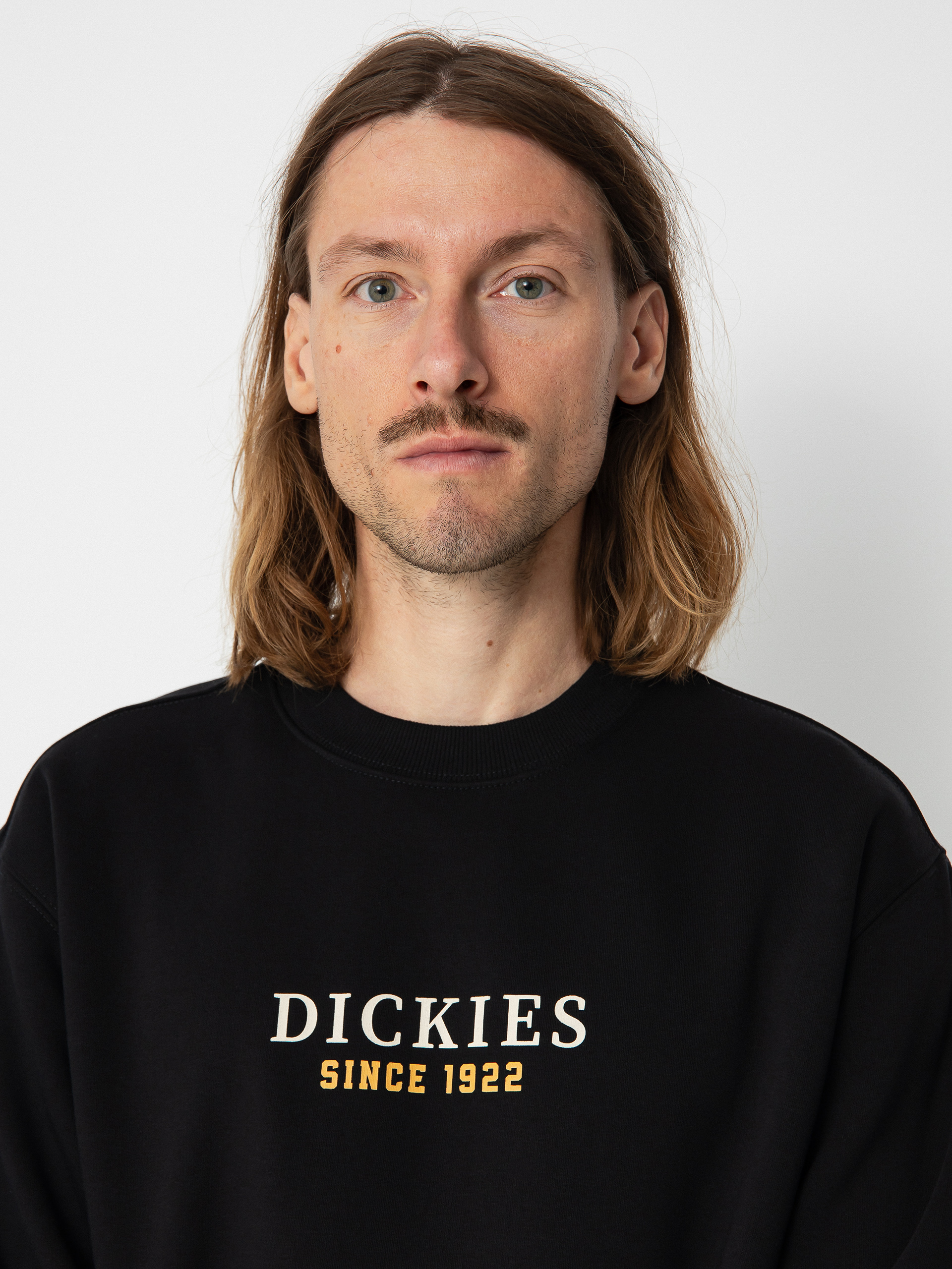 Dickies Park Sweatshirt (black)