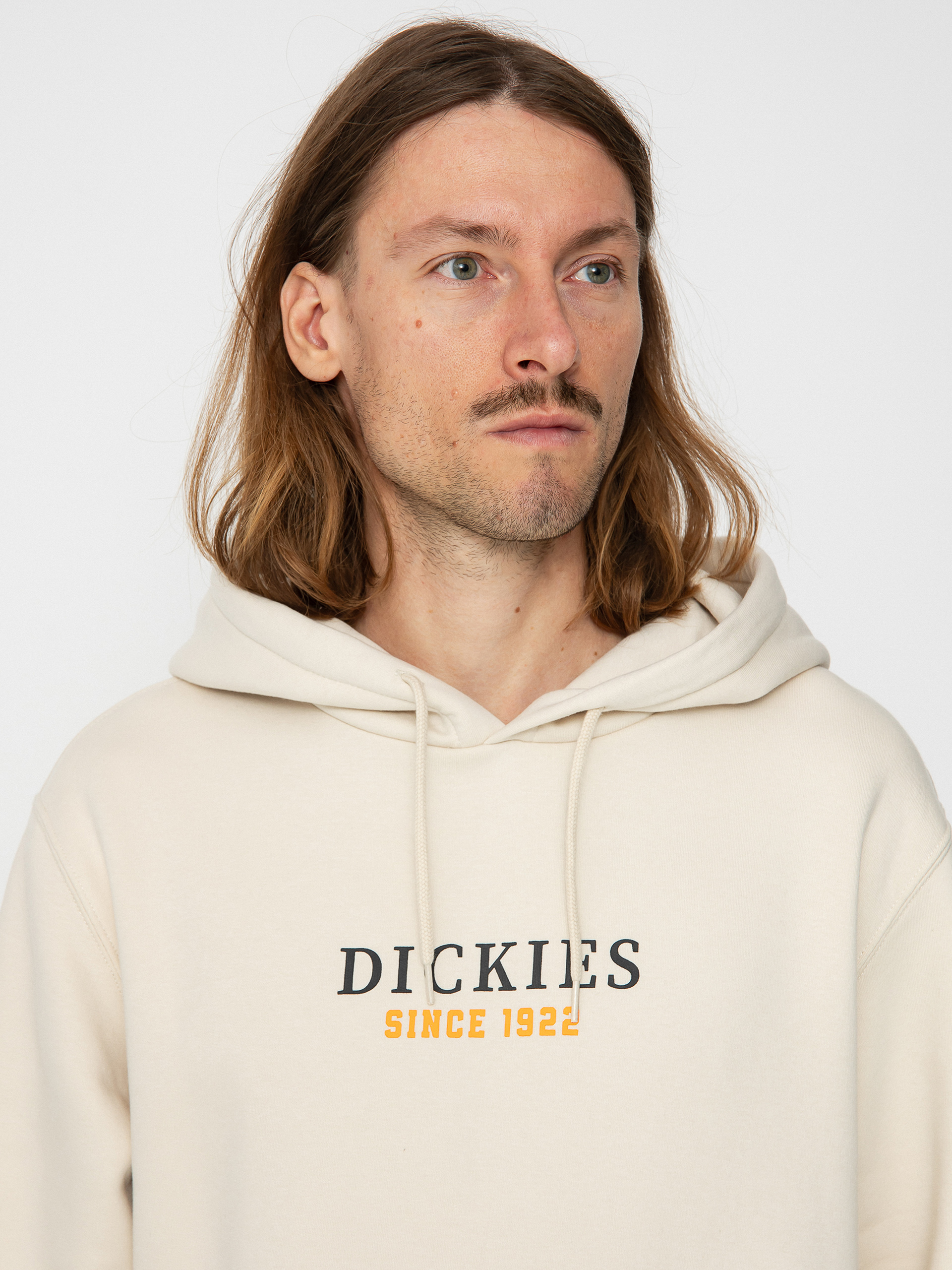 Dickies Park HD Hoodie (whitecap gray)