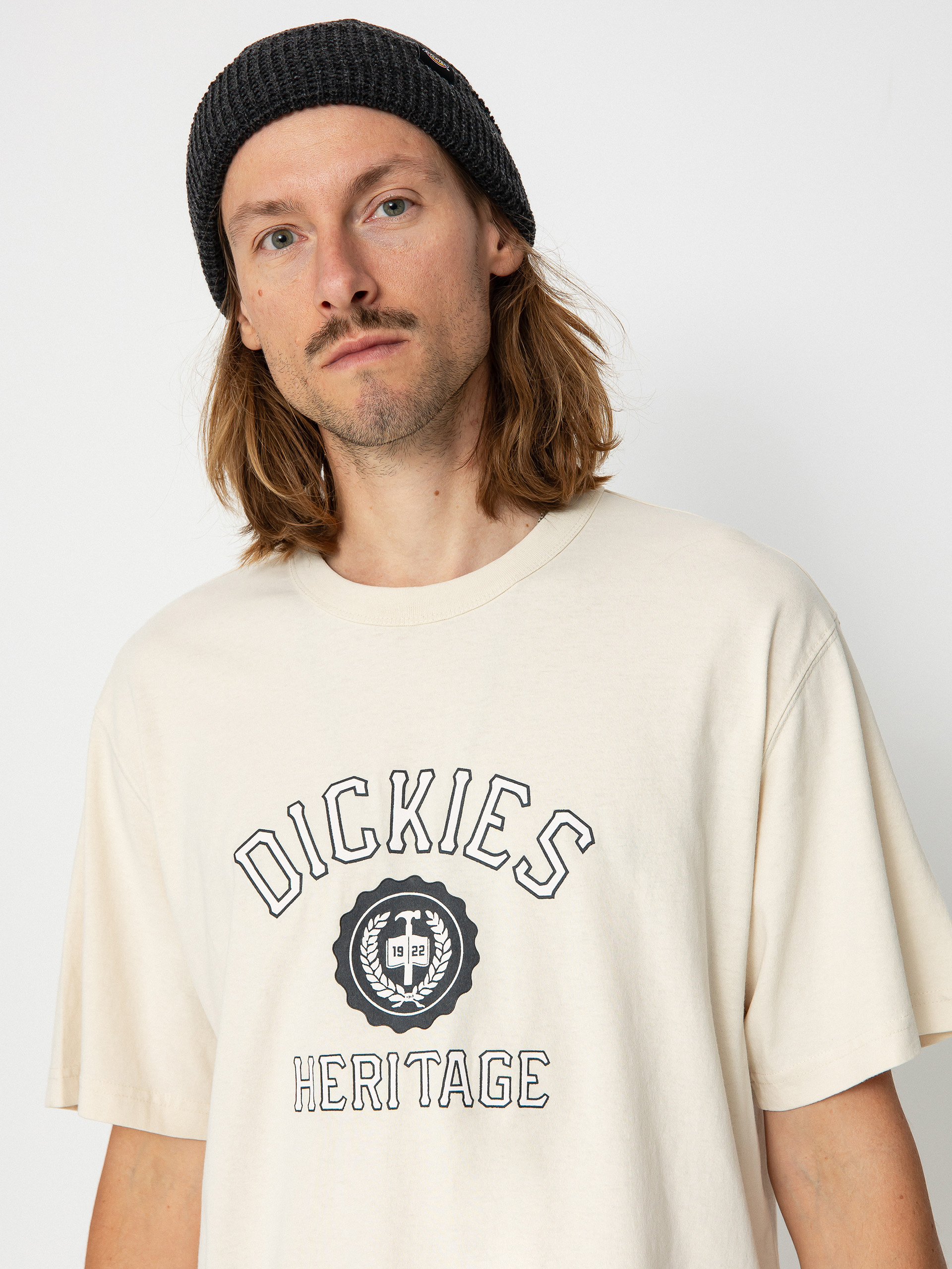 Dickies Oxford T-shirt (whitecap gray)