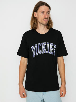 Dickies Aitkin T-Shirt (black/imperial)