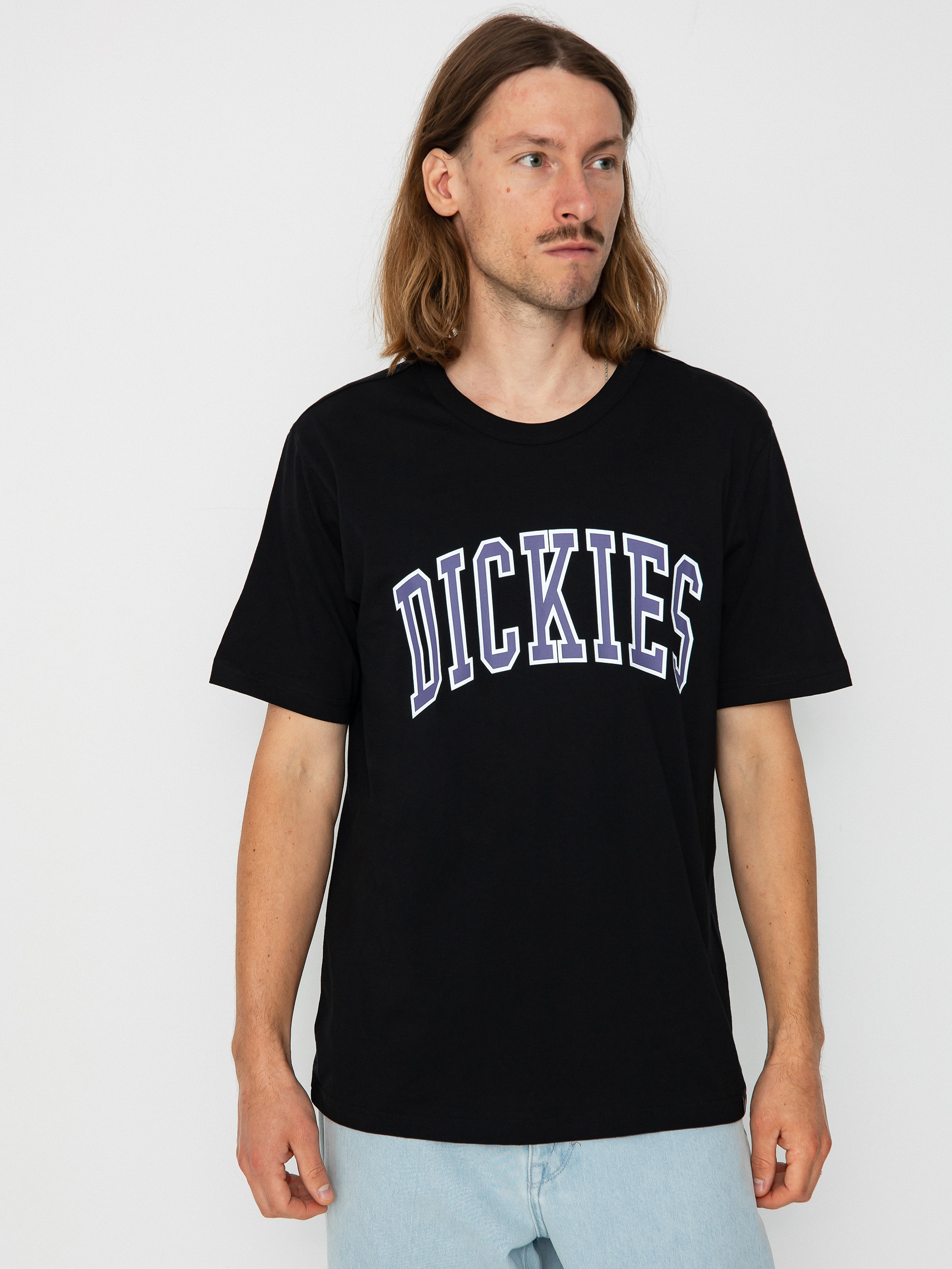 Dickies Aitkin T-Shirt (black/imperial)