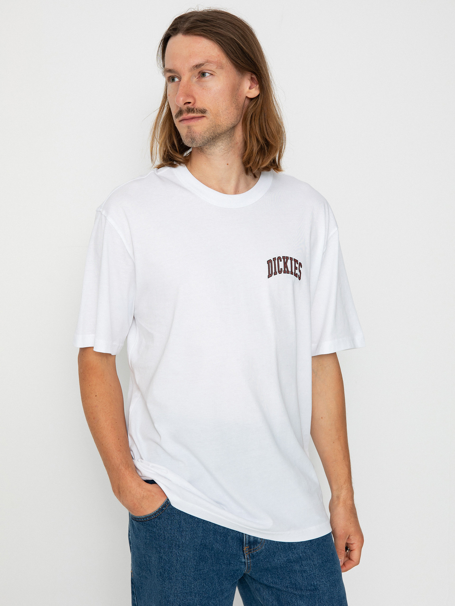 Dickies Aitkin Chest T-shirt (white/fired)