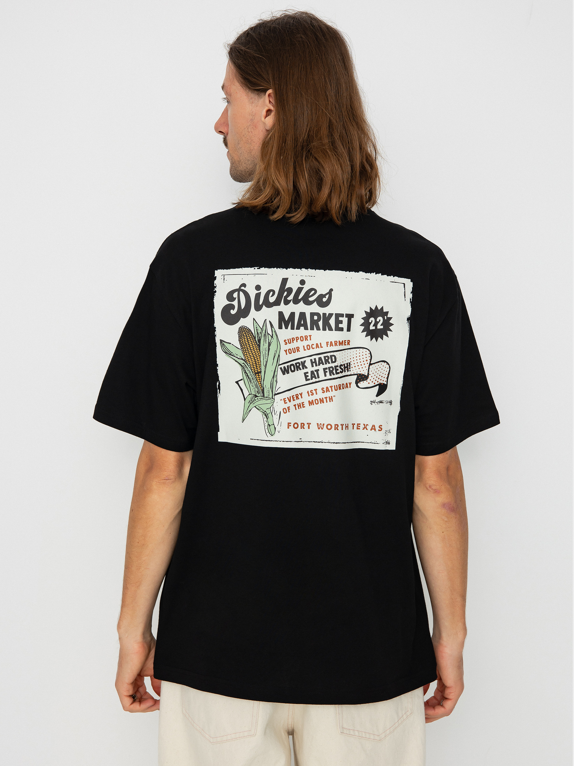 Dickies Grainfield T-shirt (black)